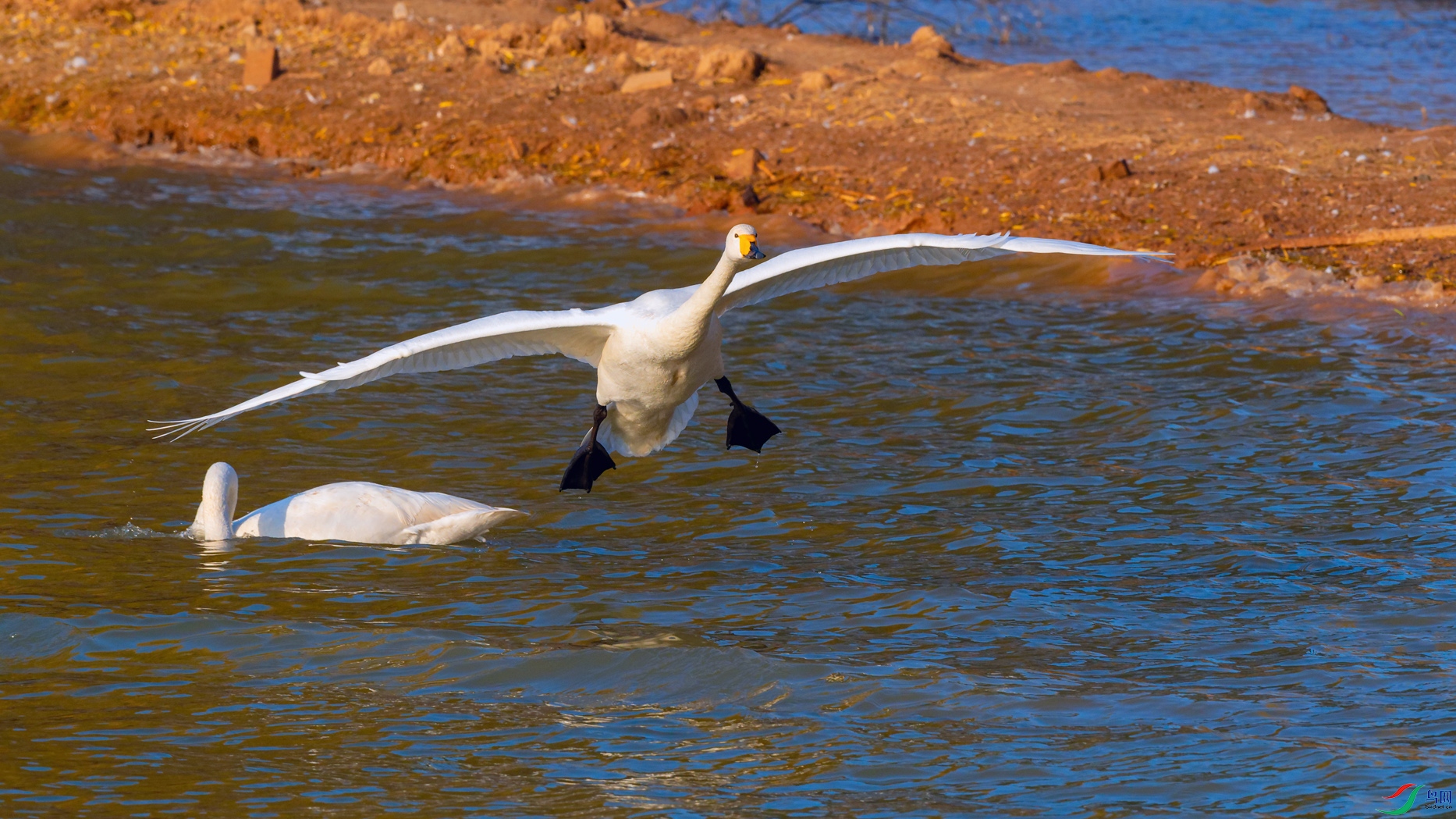 DSC_3462_DxOa.jpg