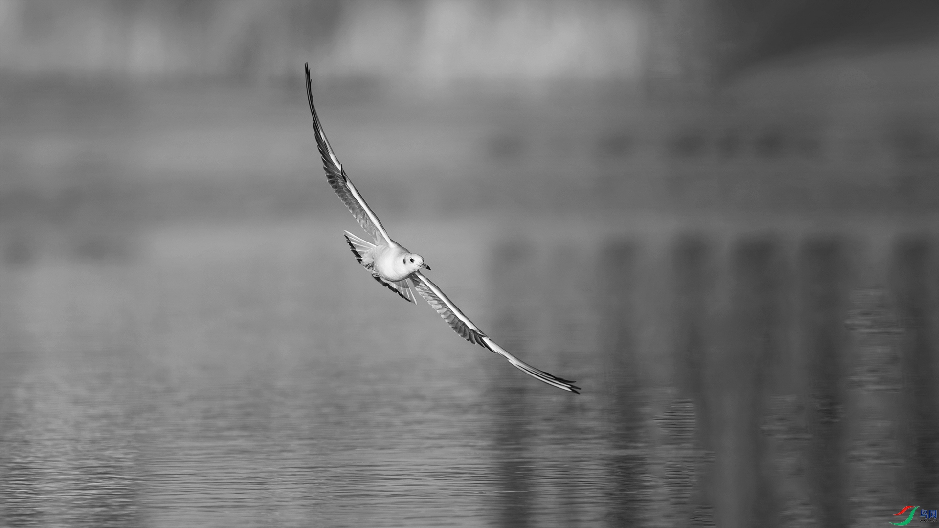 DSC06192 ���� 2.jpg