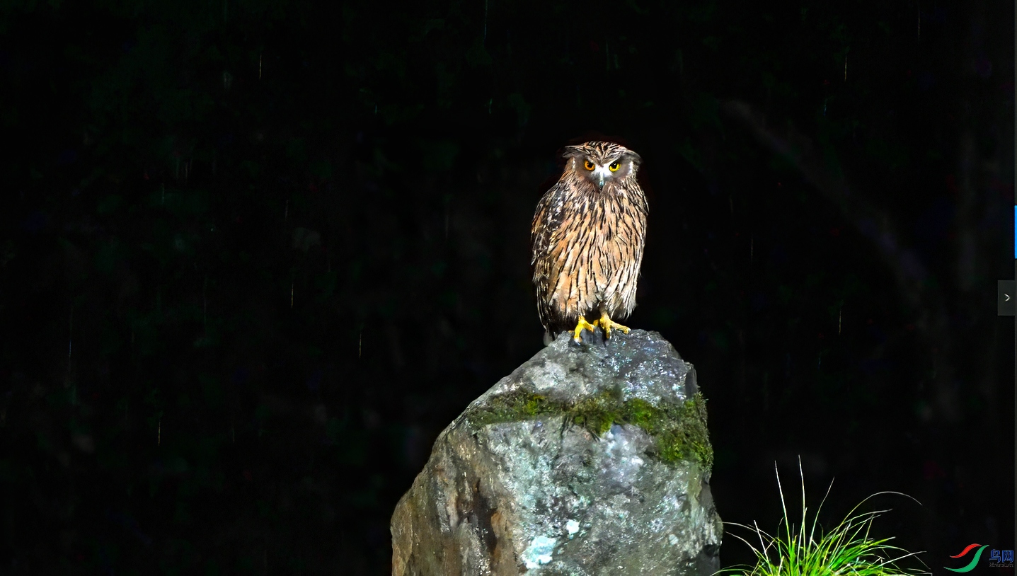 ΢��ͼƬ_20250703204343 ����.jpg