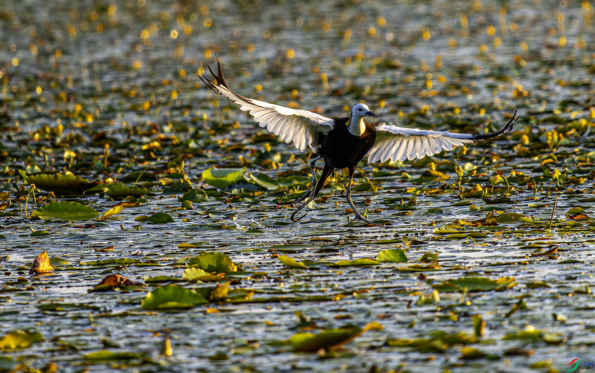 ˮ��-14 (11)-1.jpg