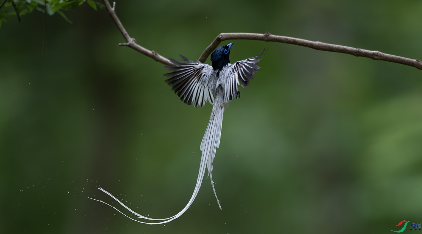 DSC_7687-����ǿ-NR ����.jpg