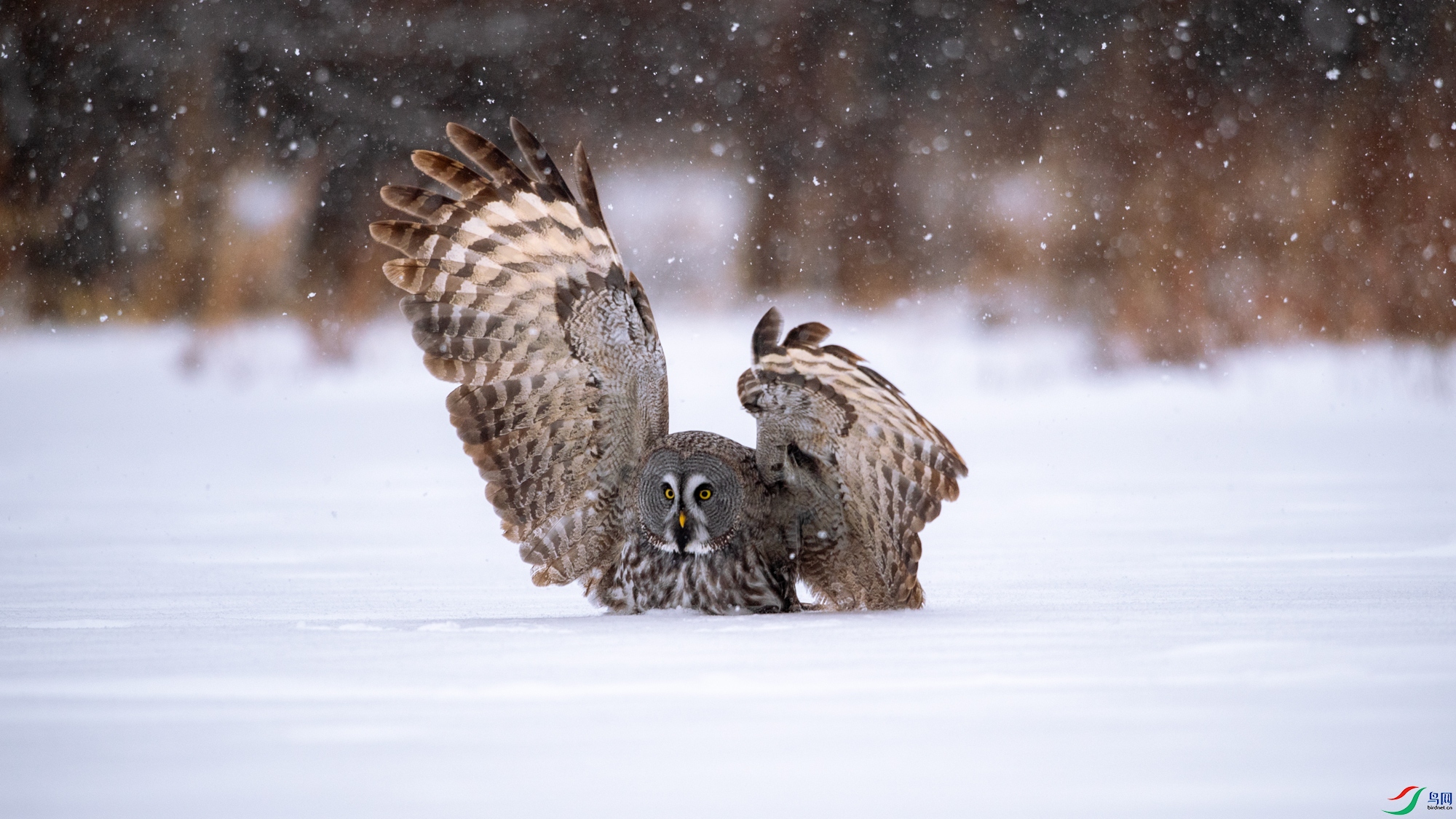 DSC_3124.jpg
