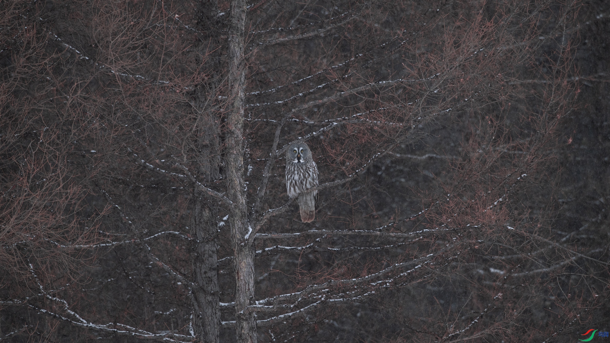 DSC_3267.jpg