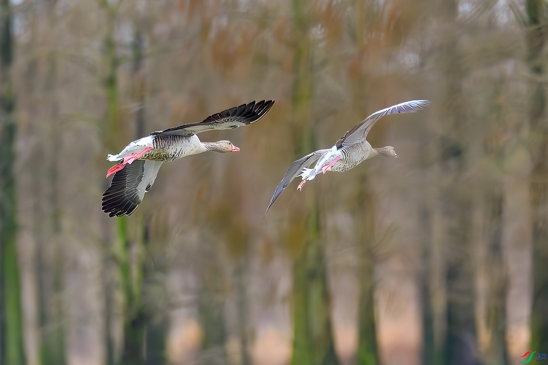 DSC_0159b.jpg