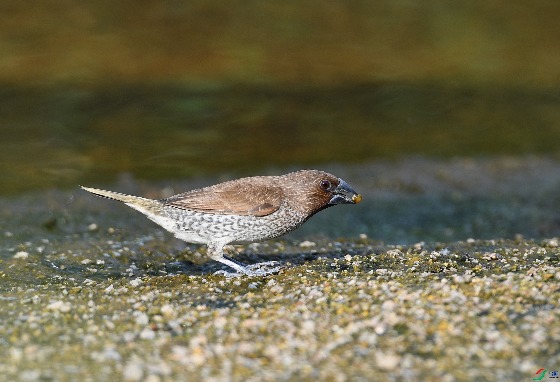 DSC_6481.jpg