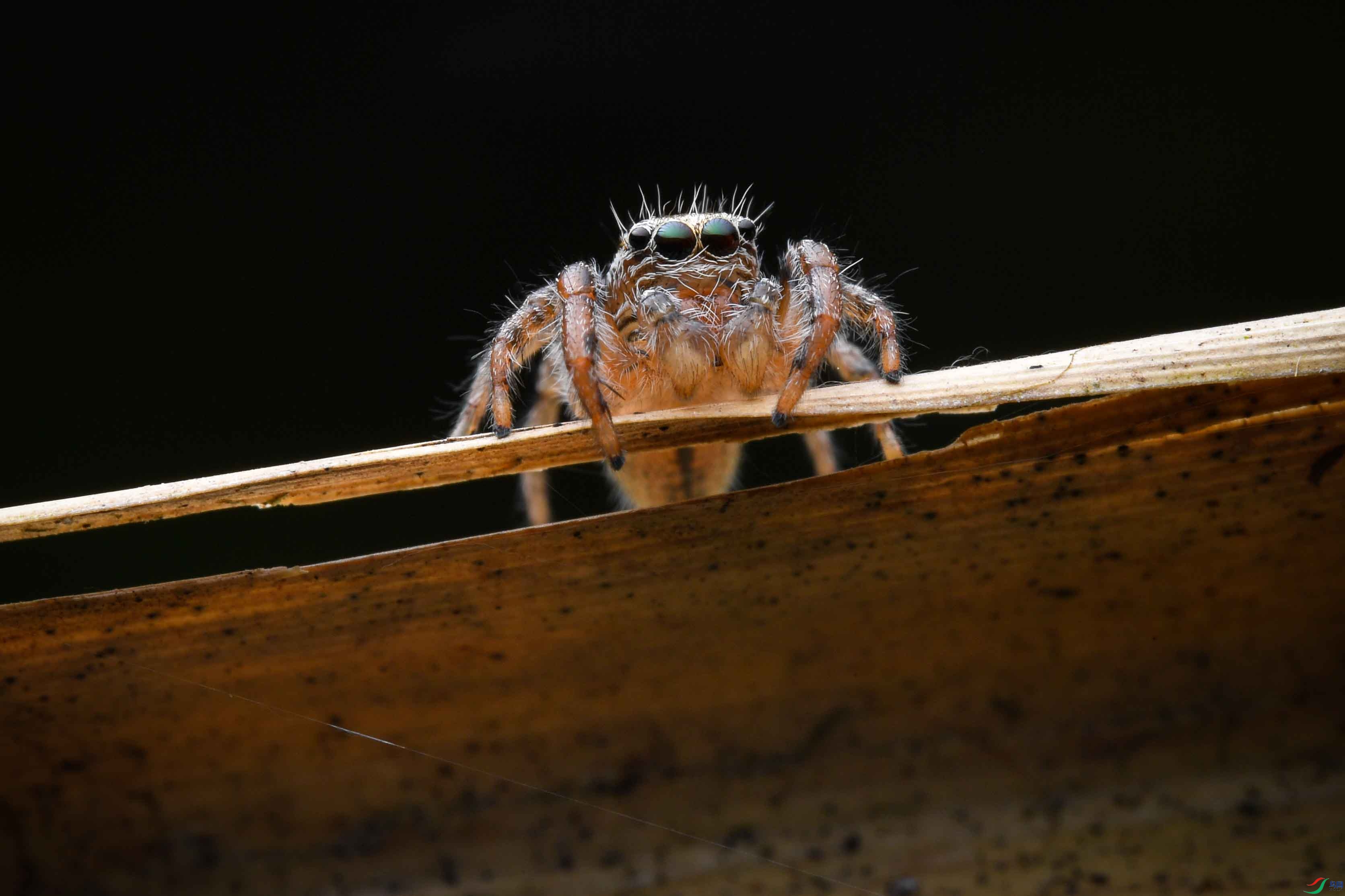 DSC_6697.JPG