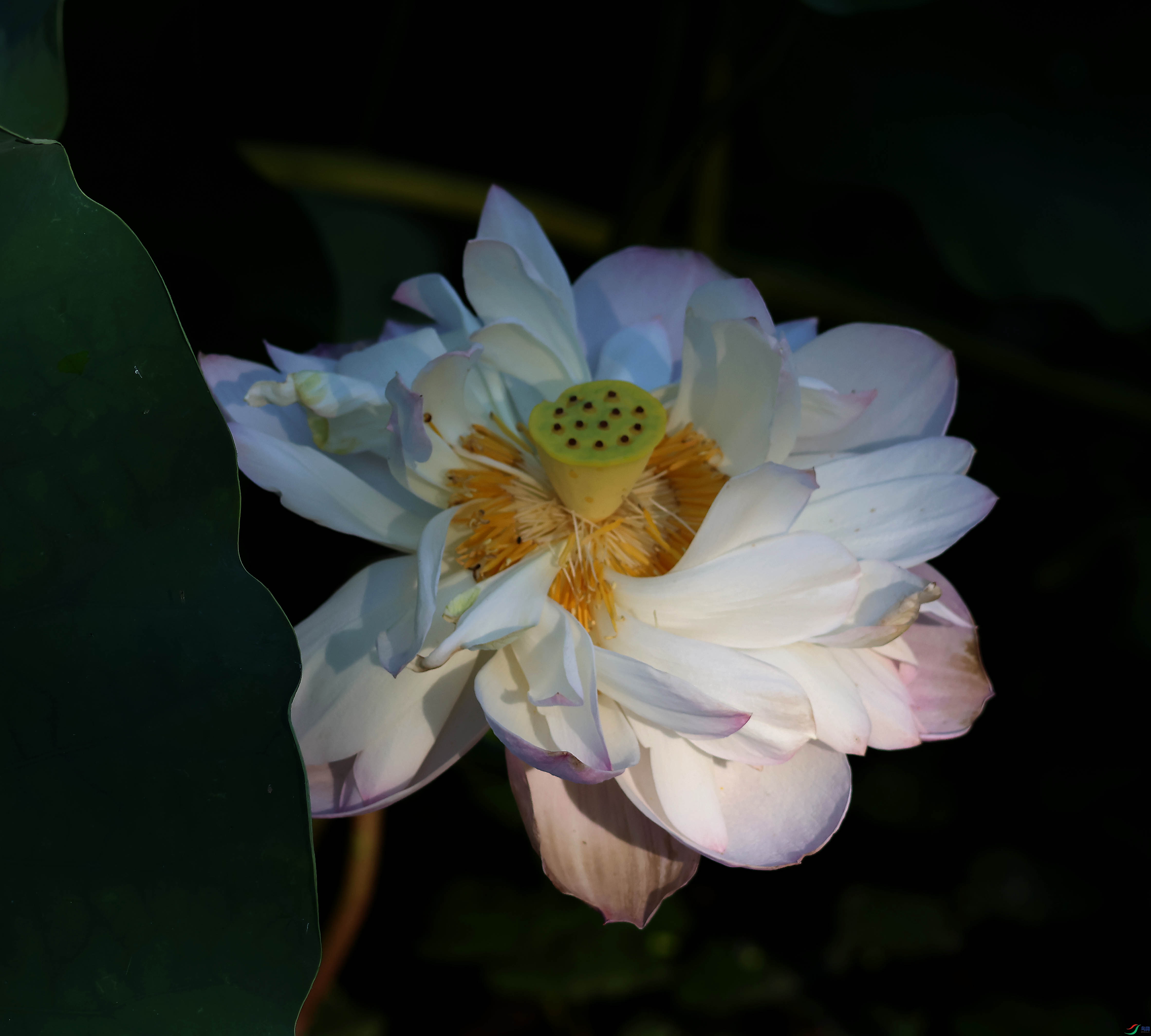 2G9A5638.JPG