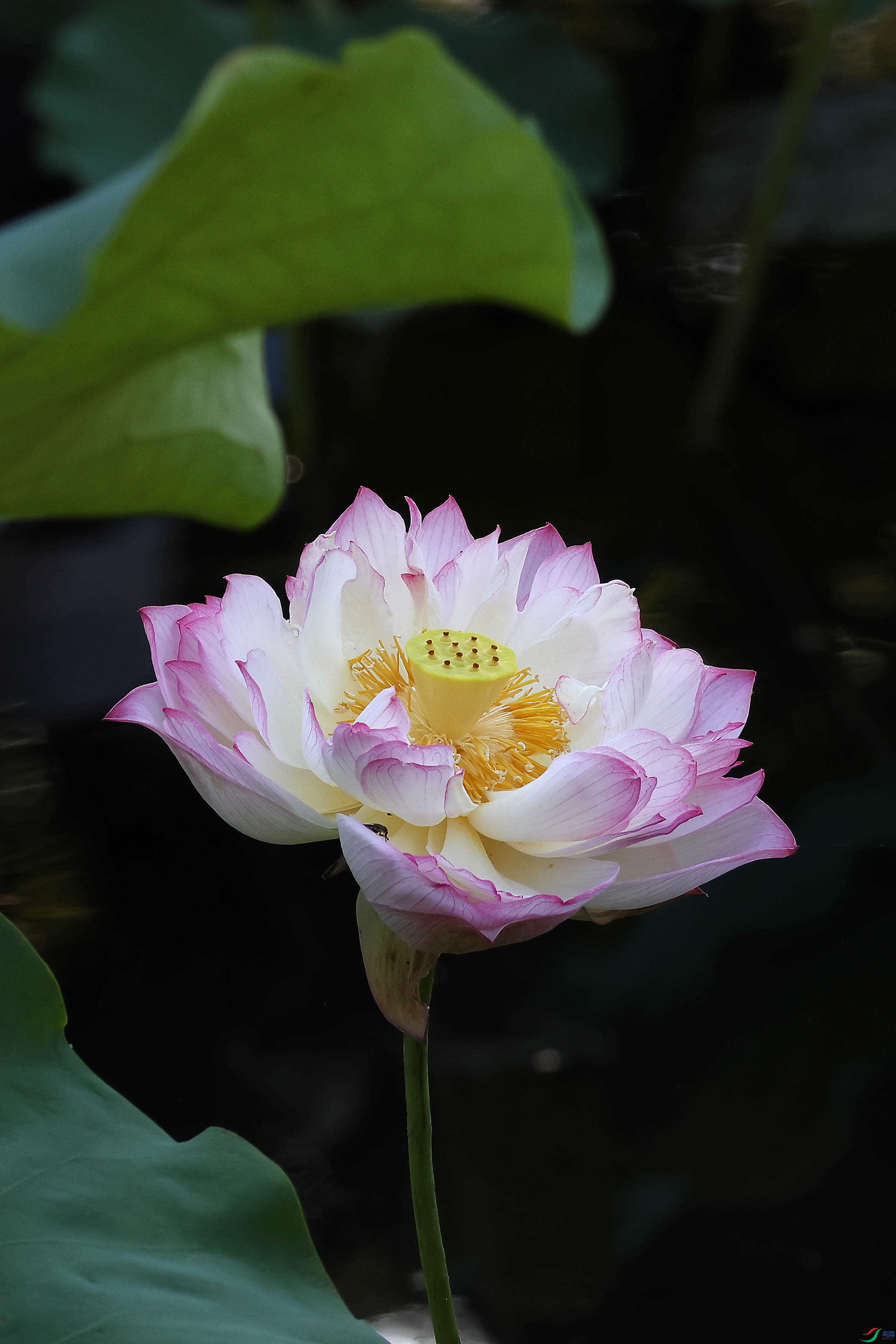 2G9A5637.JPG