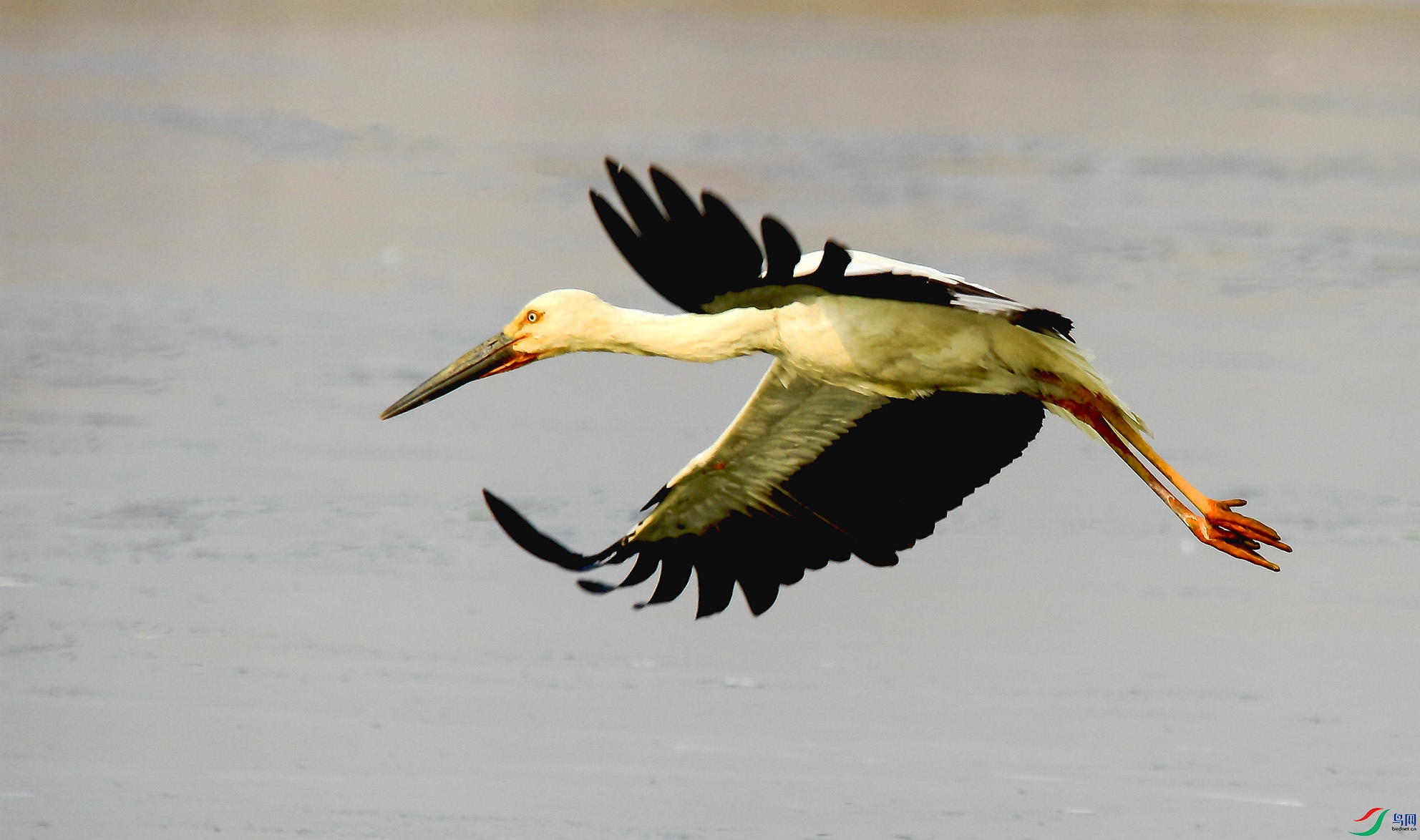 _MG_8358 ����.jpg