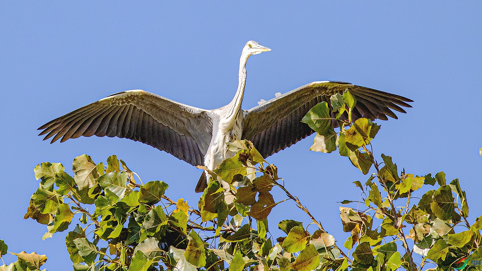 _90I6408 ����.jpg