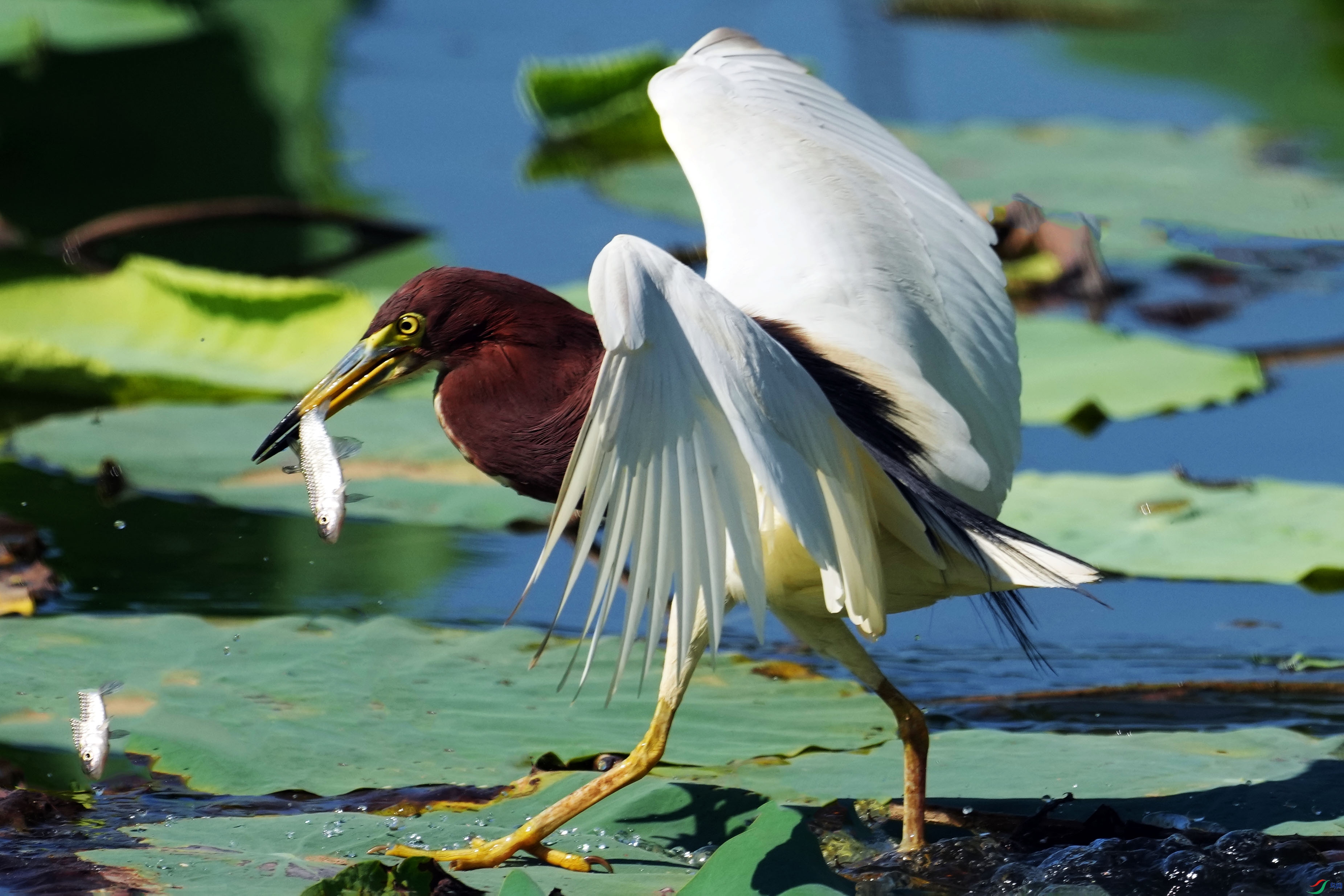 103DSC01148 ����2.jpg