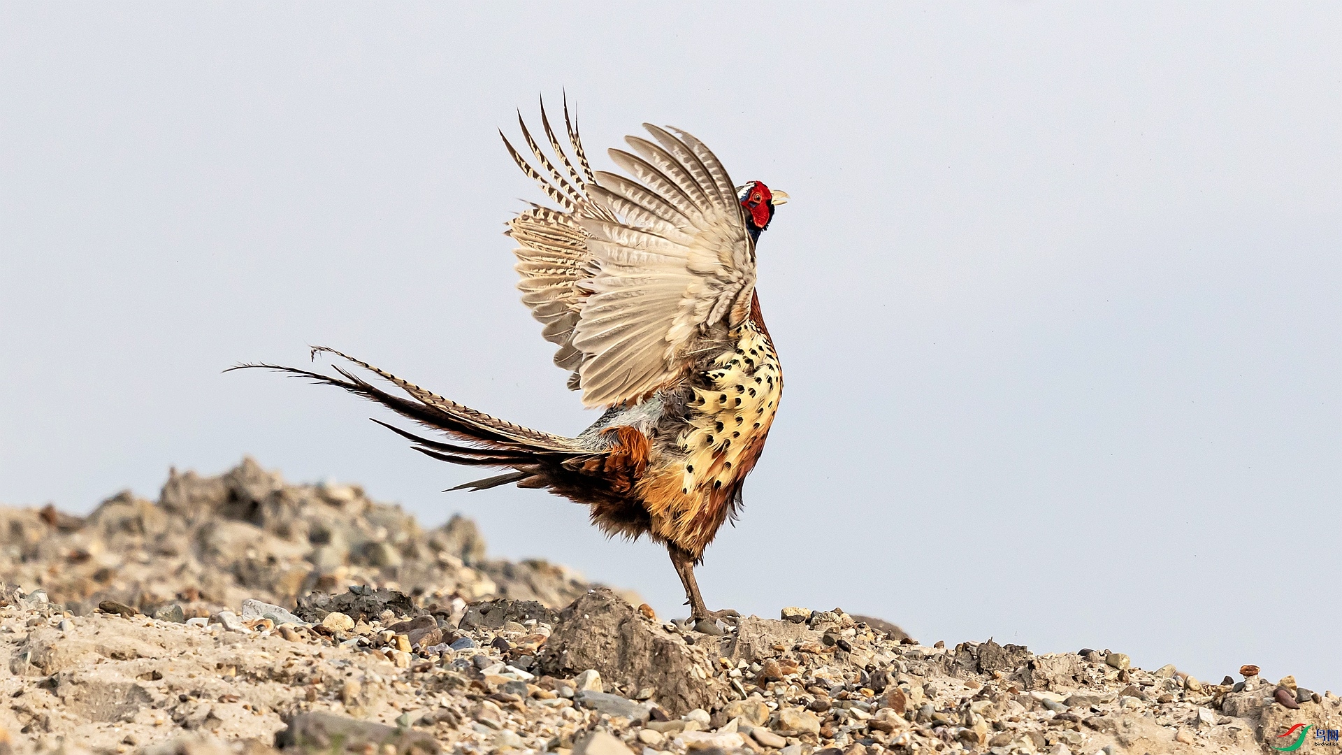 9B0A1254_��ͼ�� ����_����.jpg