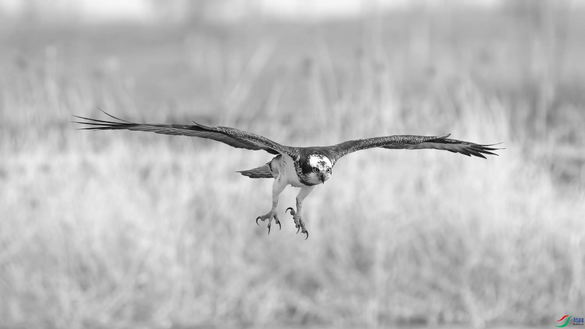 _DSC7043 ����.jpg