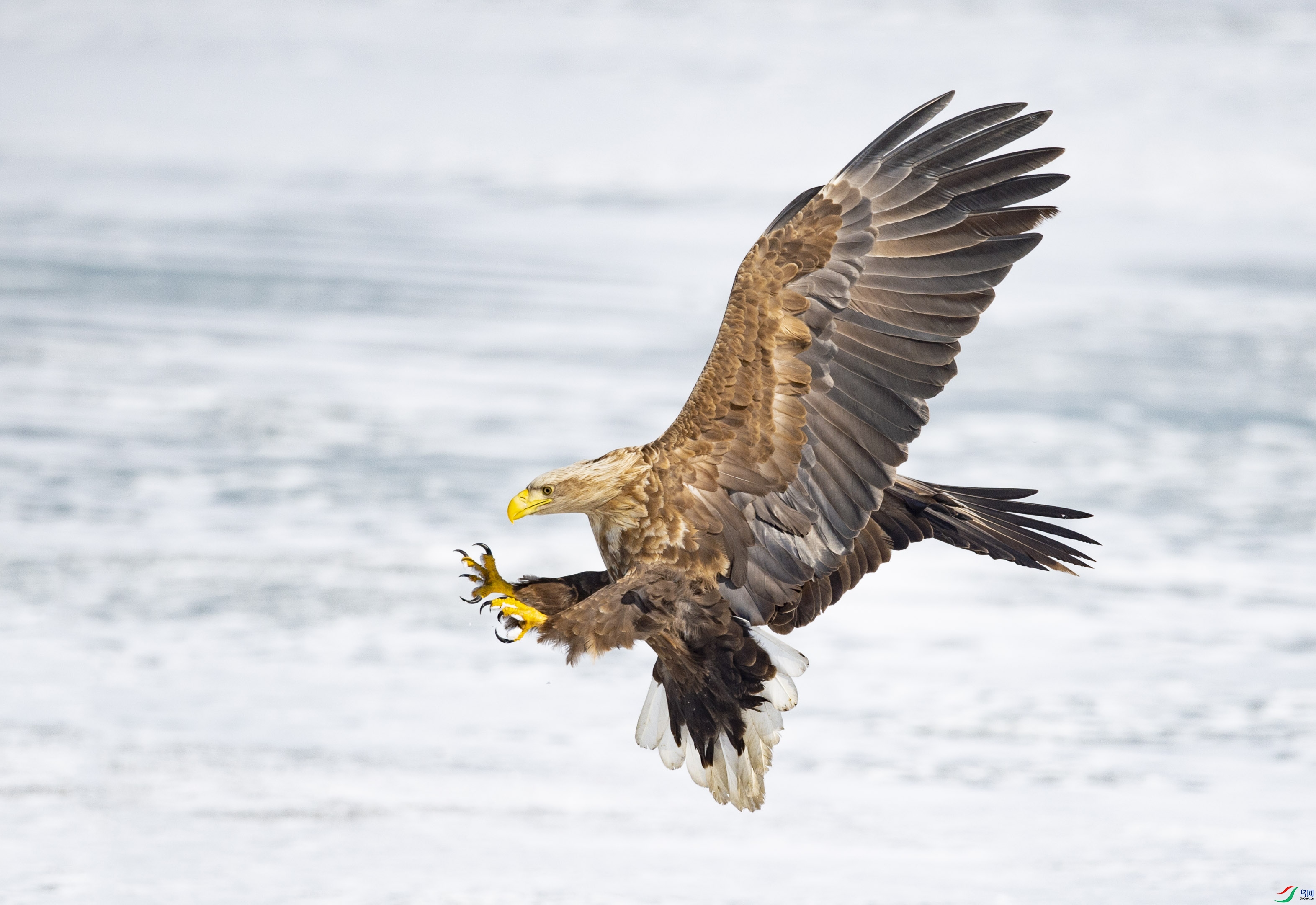 _DSC3958.jpg