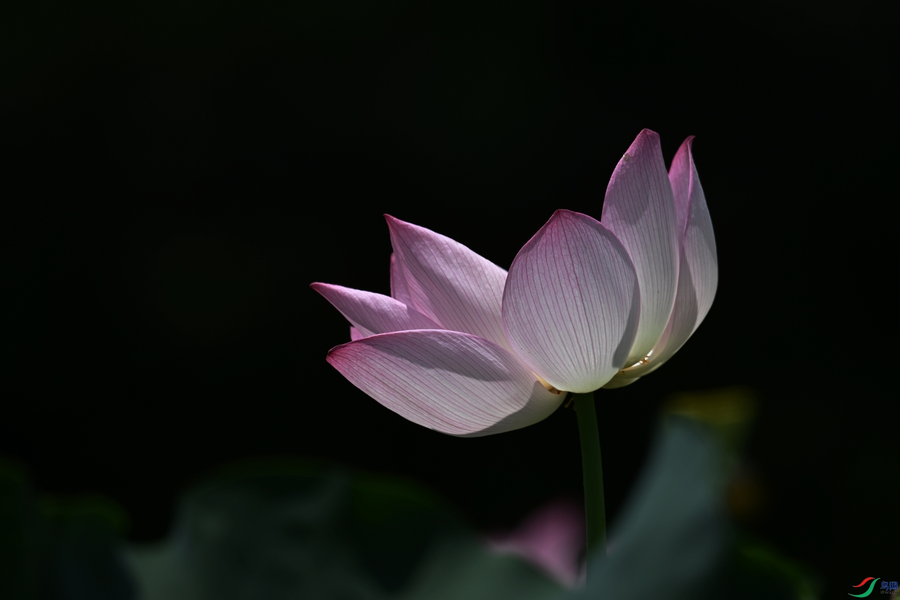 DSC_1538.JPG