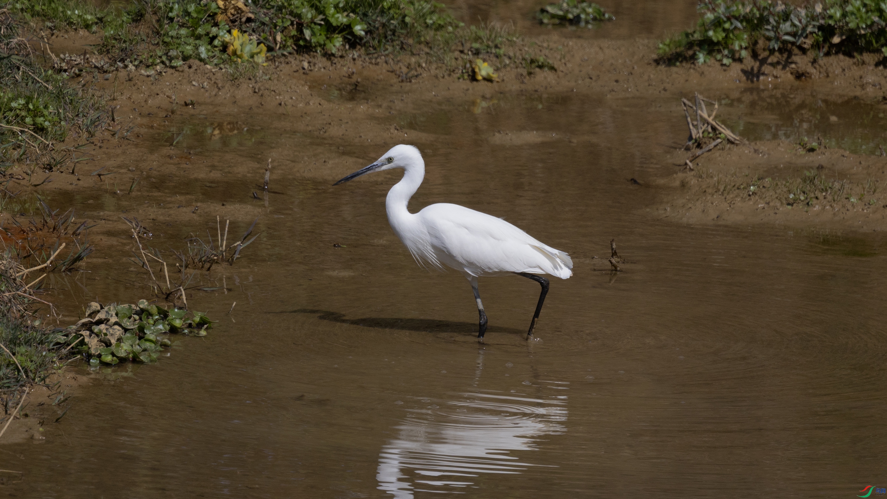 7X5A0291 ����.jpg