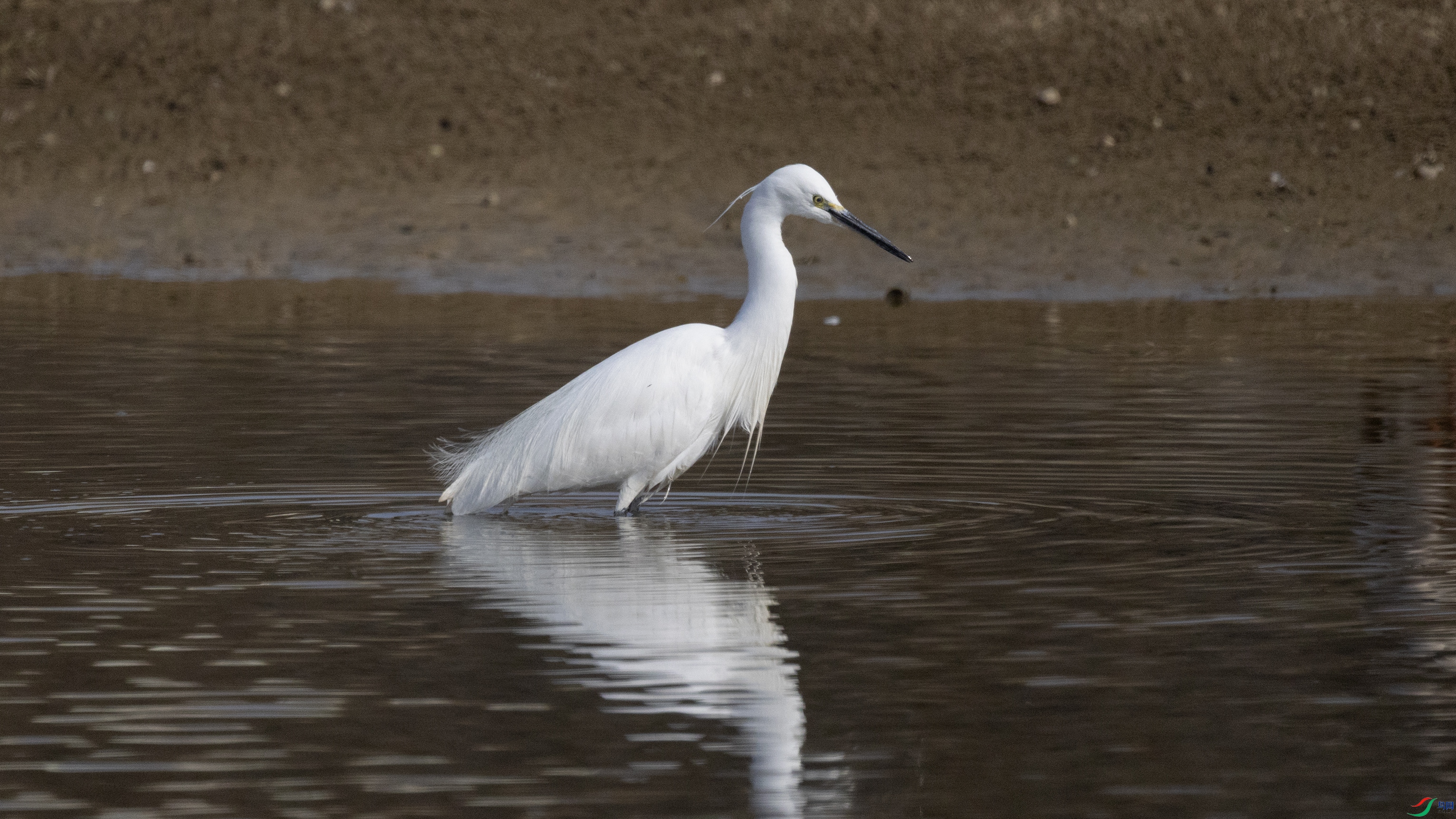 7X5A6509 ����.jpg