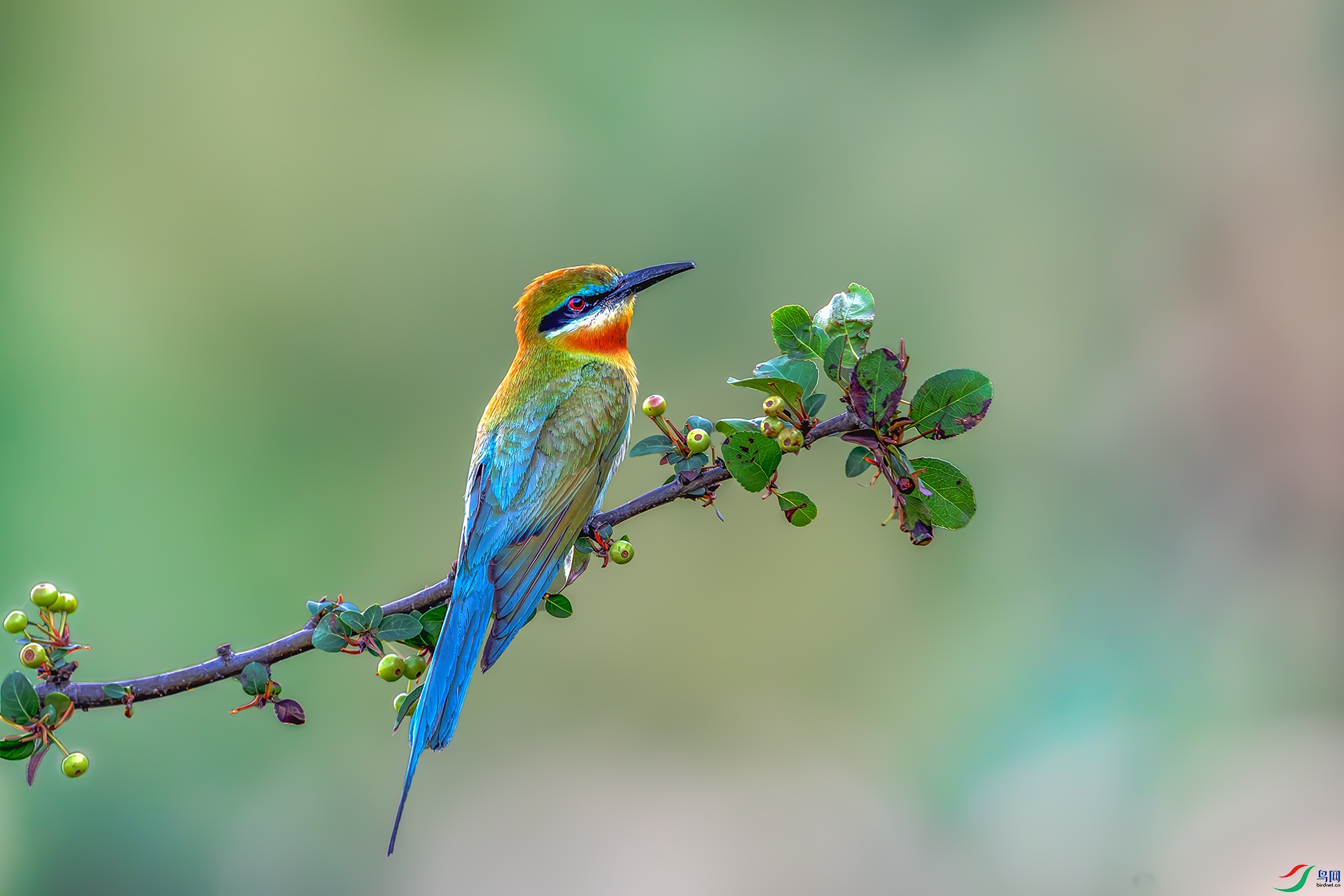 20250707����.jpg