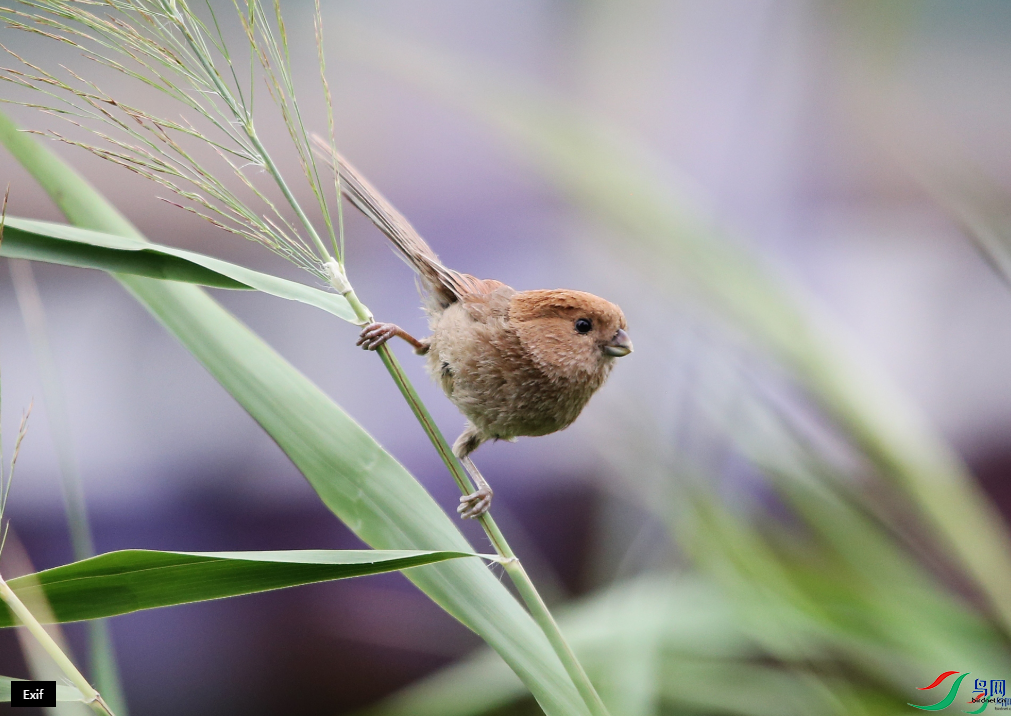 ��ͷѻȸ���ٻ��Ա������������ 6.png