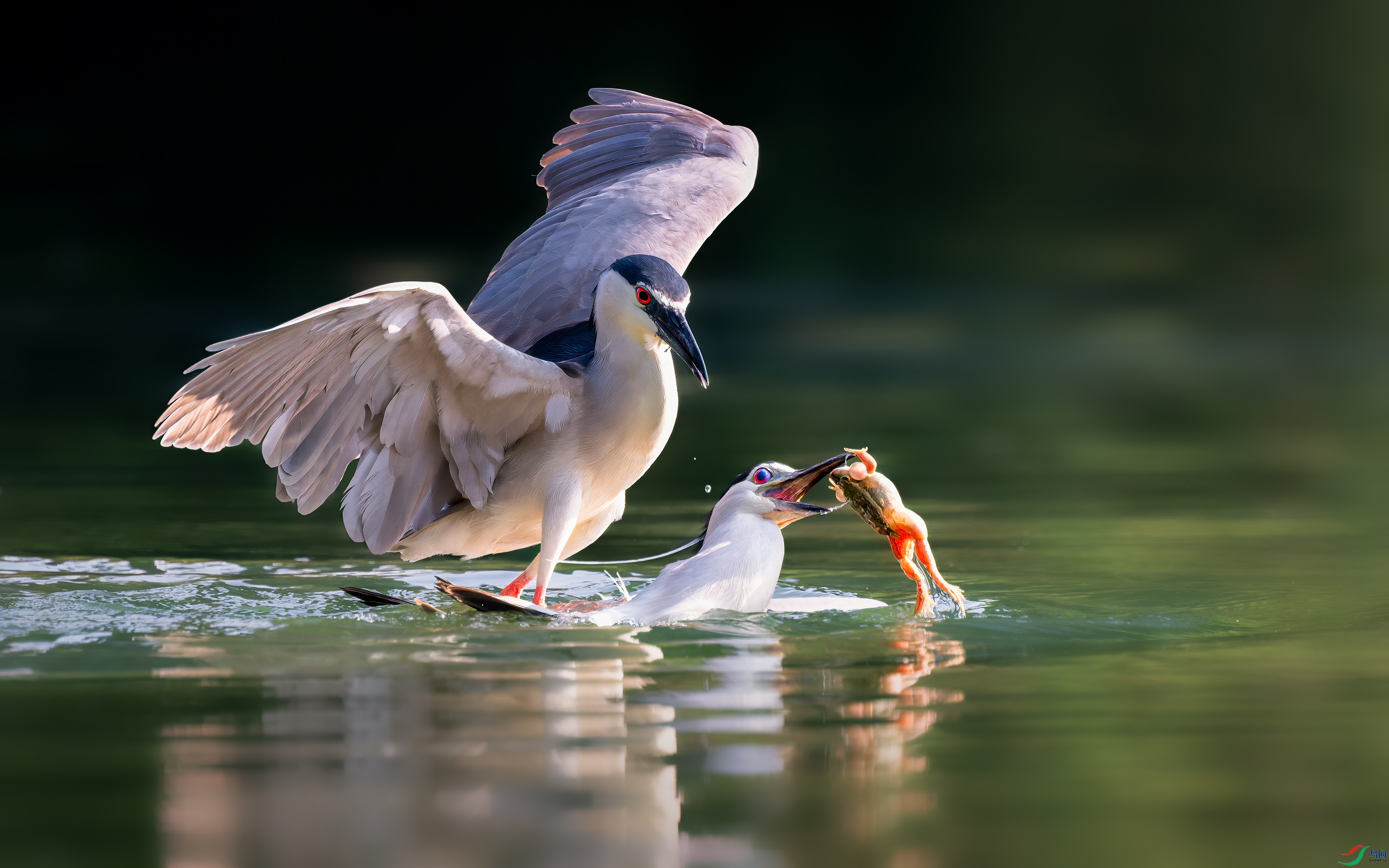 DSC_4476-DxO_DeepPRIME XD2s_XD ����.jpg