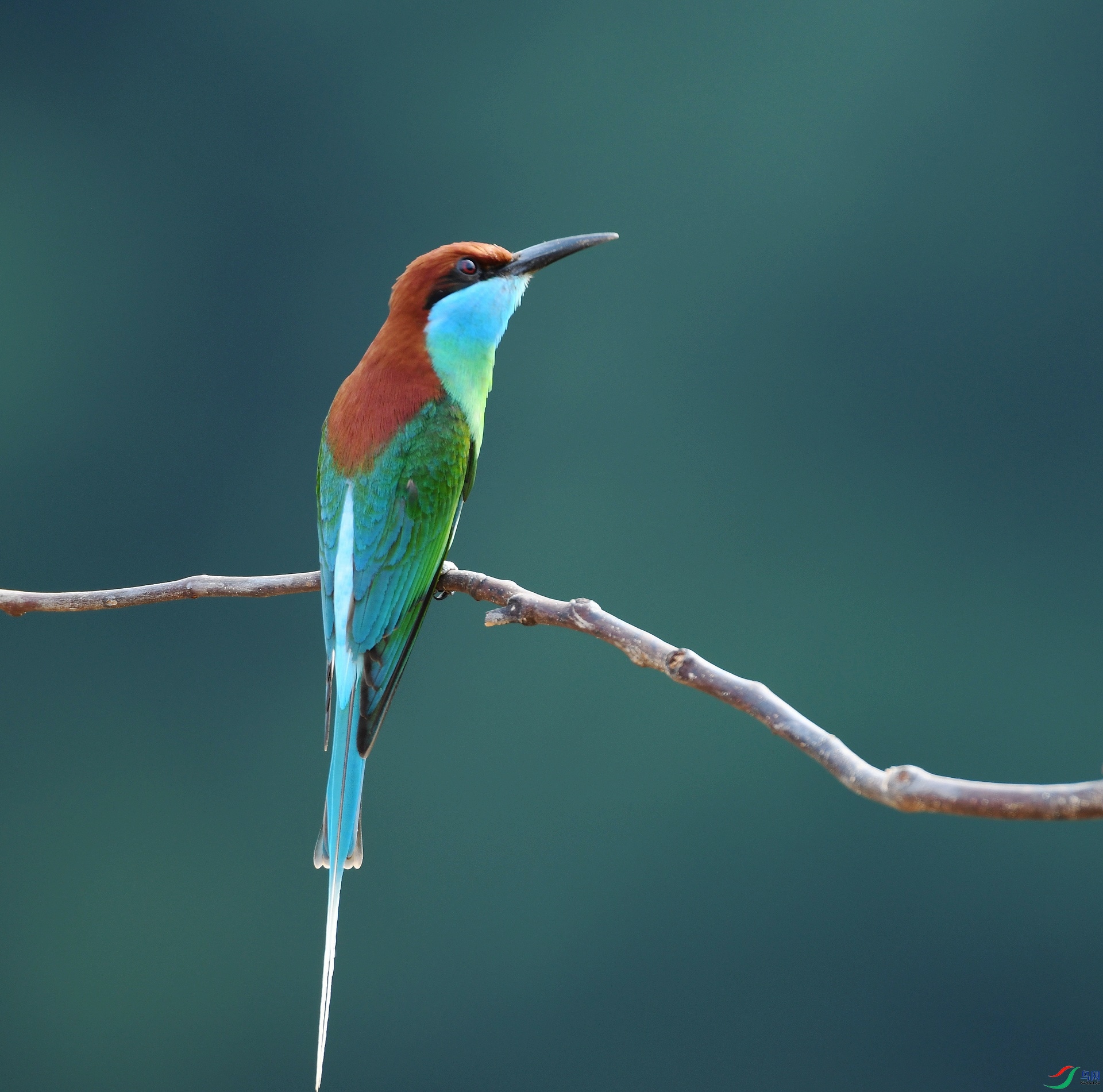 DSC_6645.jpg