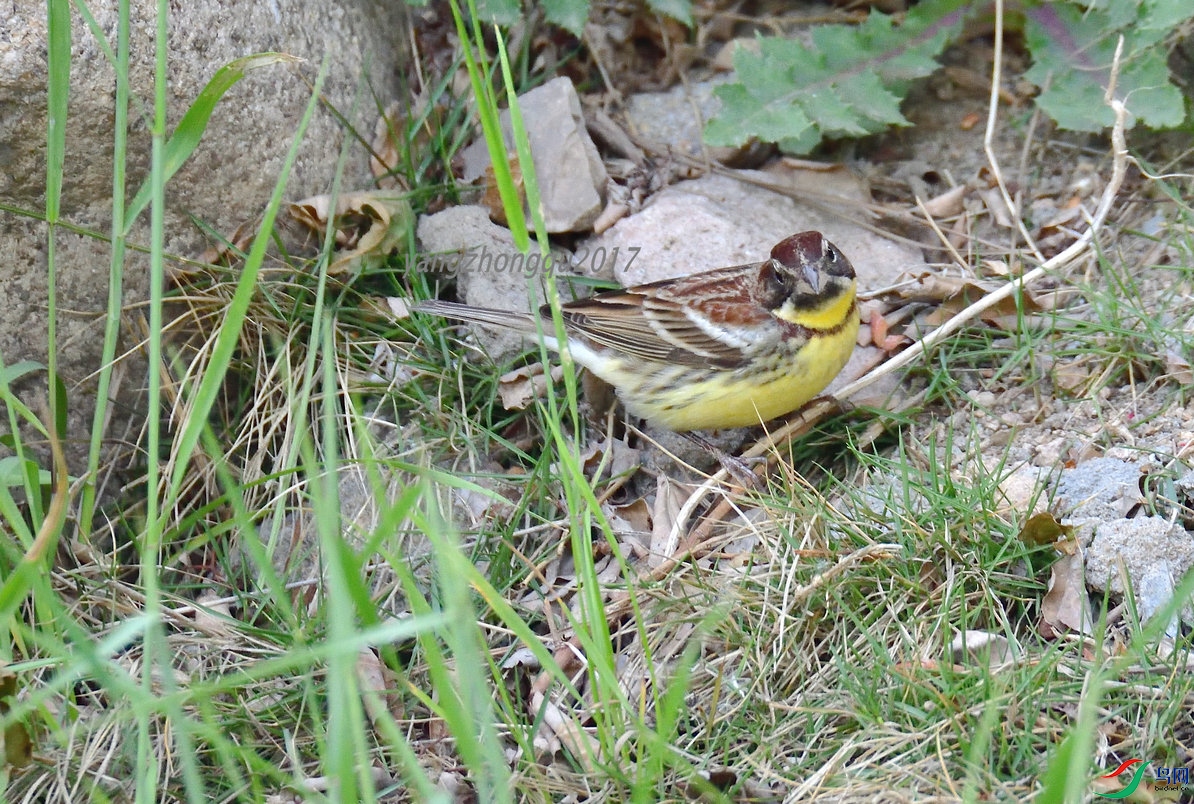 DSC_0440_����.JPG