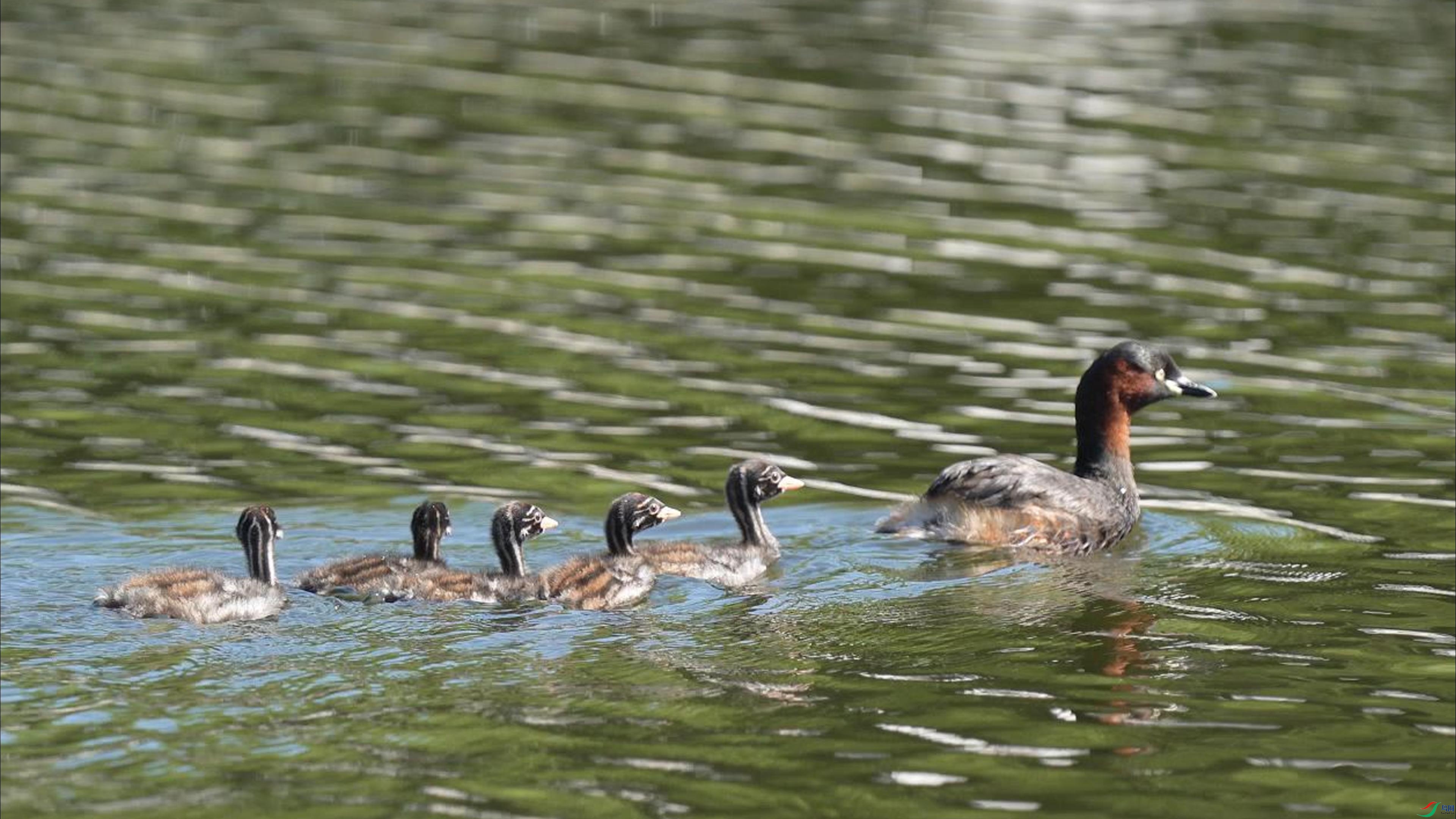 7��6�� (1)-����.jpg.jpg