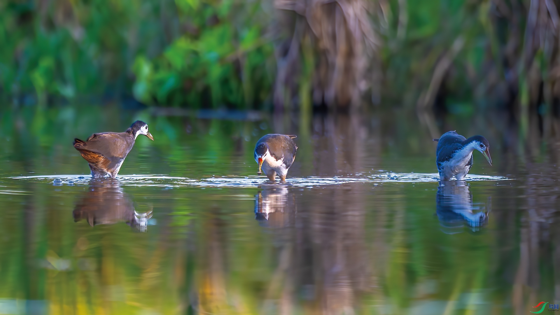 DSC_8890-����ǿ-NR.jpg