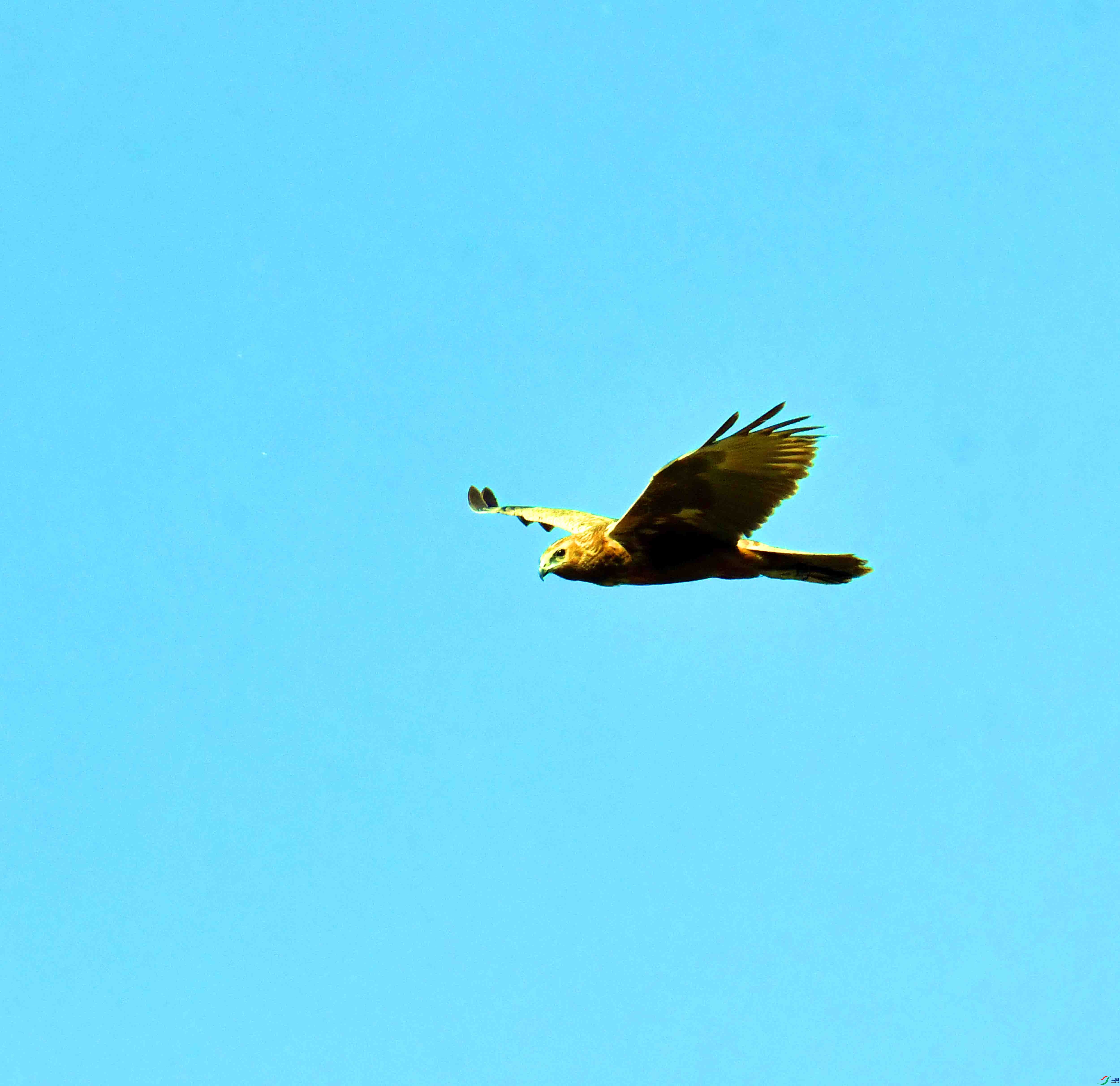 DSC_8218.JPG