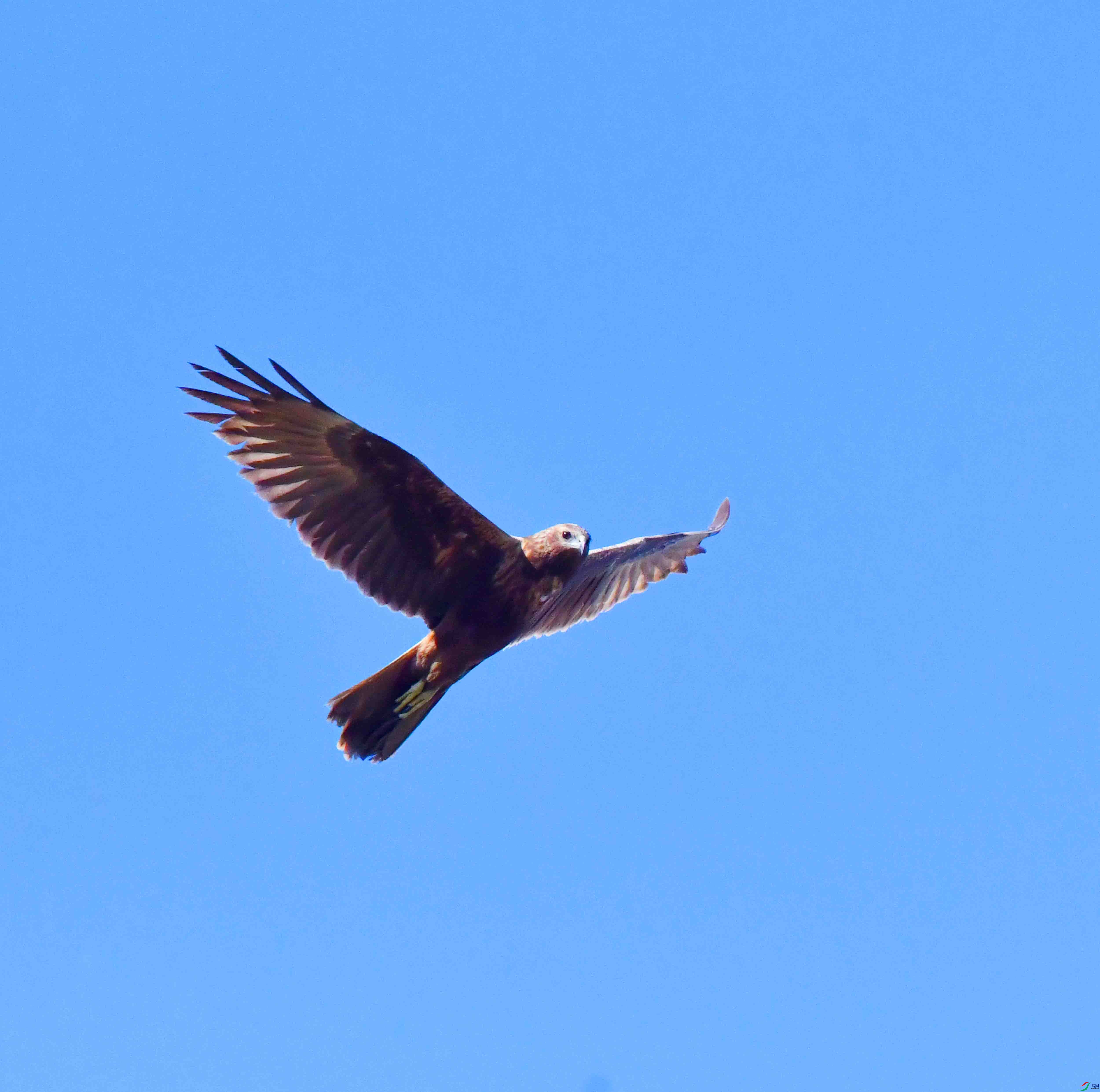 DSC_8244.JPG
