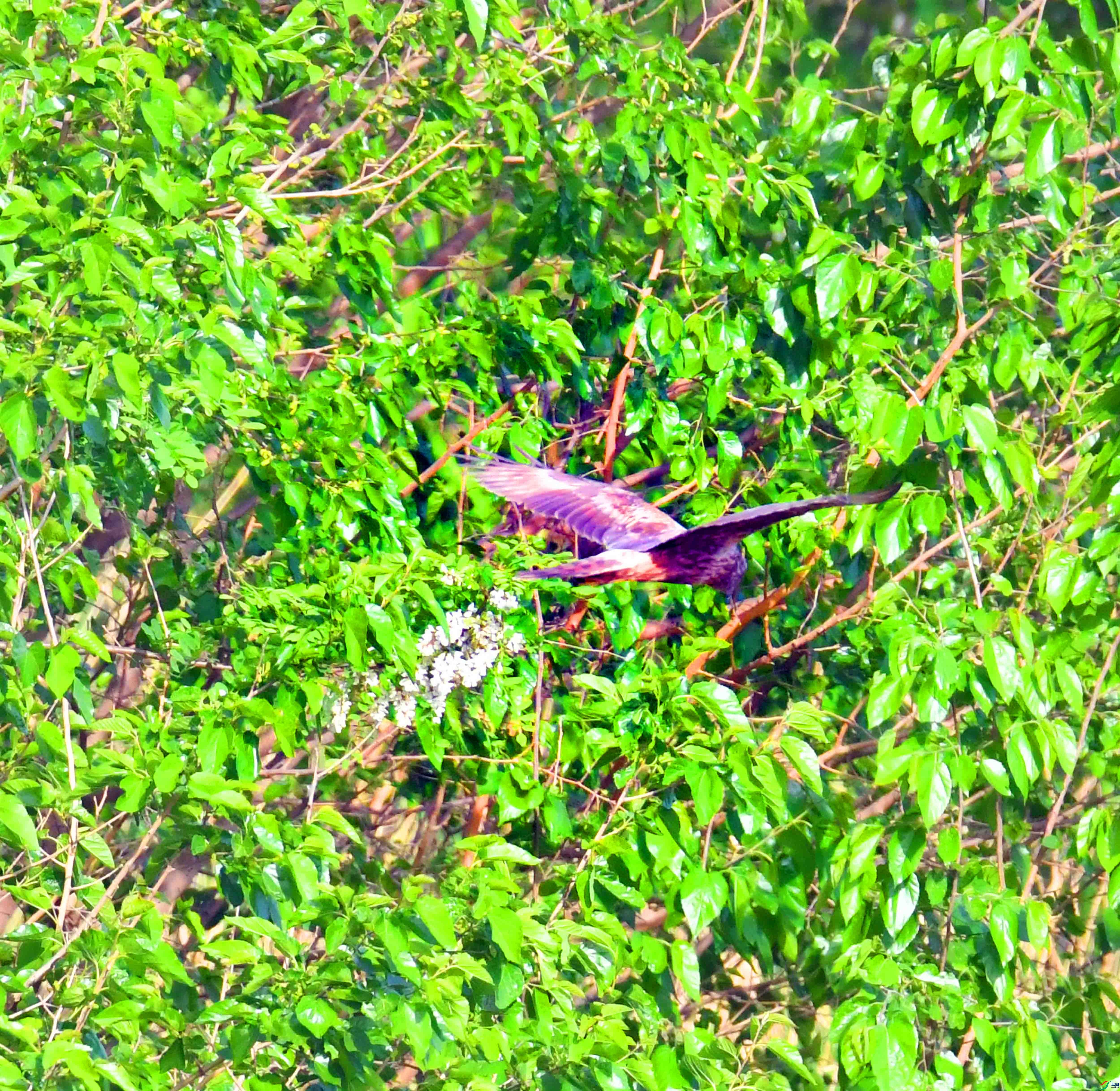 DSC_9672.JPG