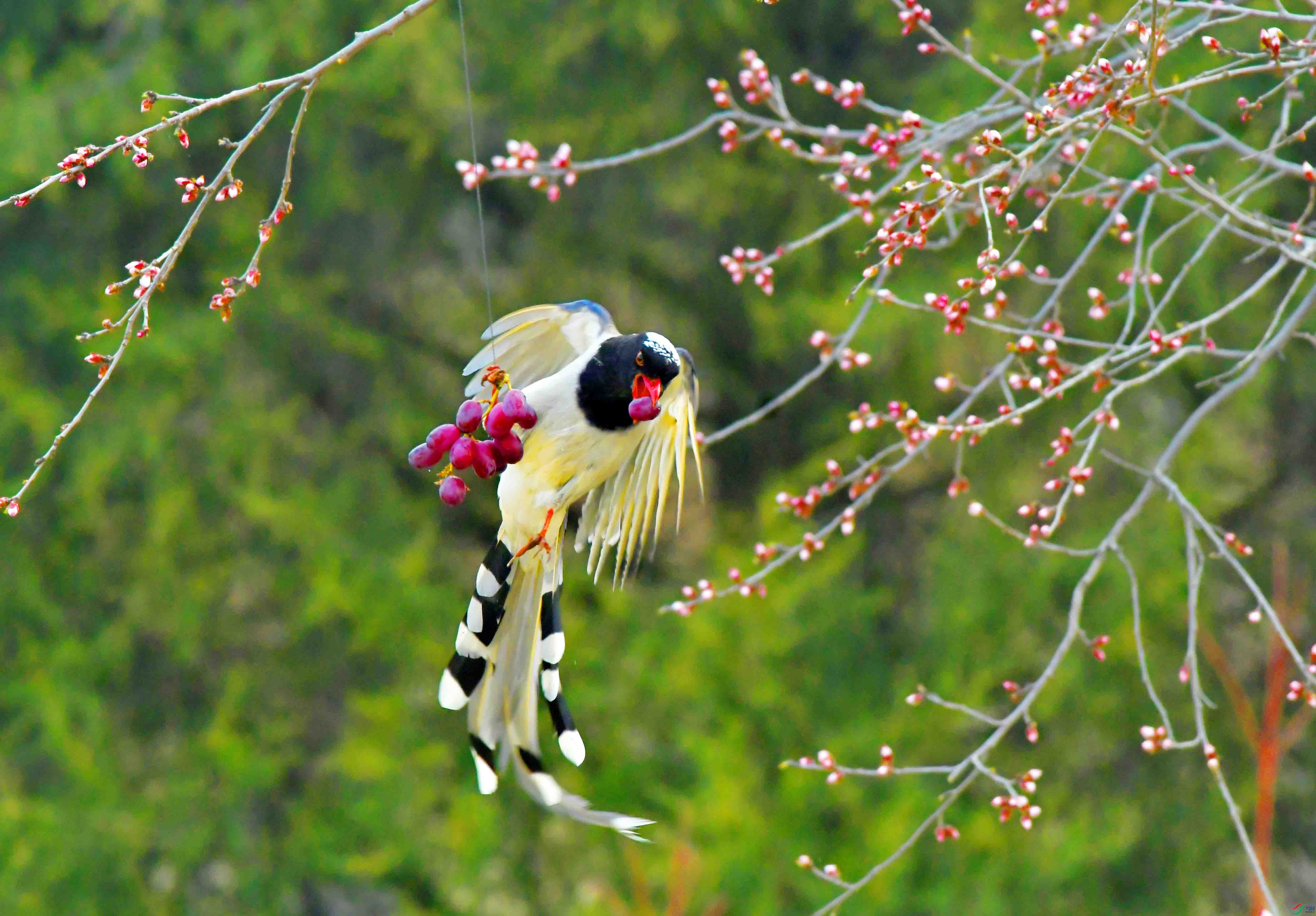 Copy2_DSC_1740.JPG