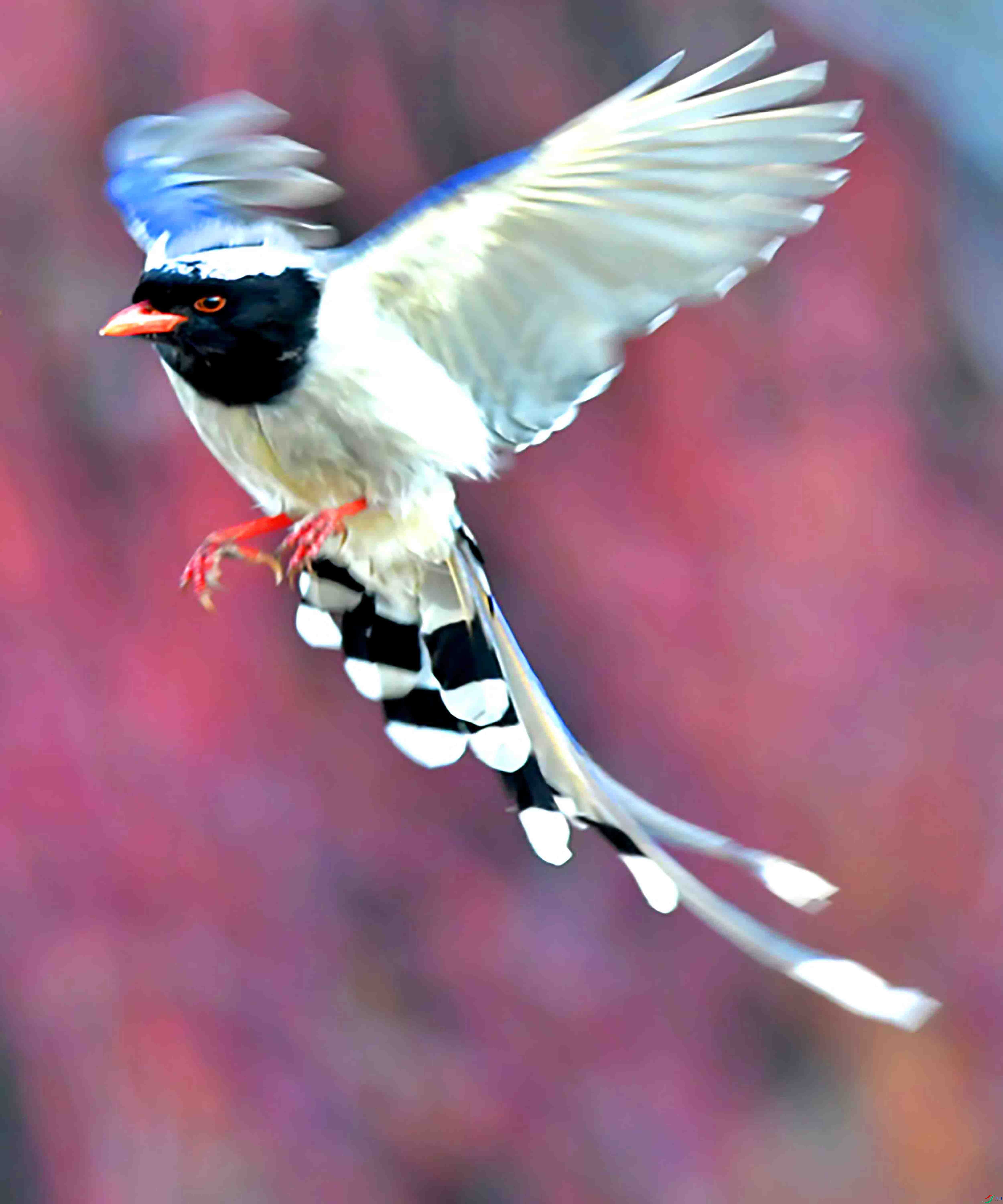 Copy2_DSC_7432.JPG