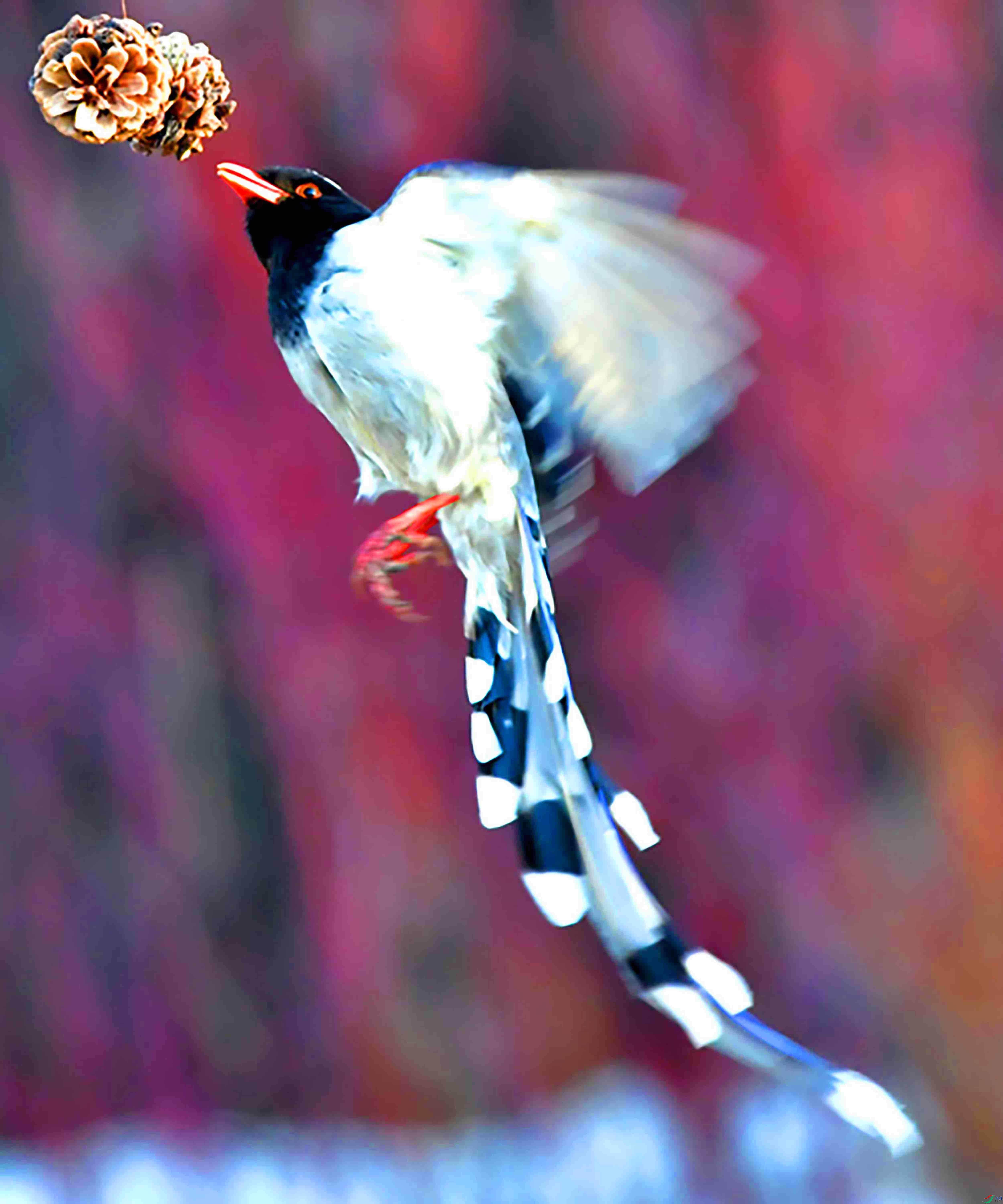 Copy2_DSC_7435.JPG