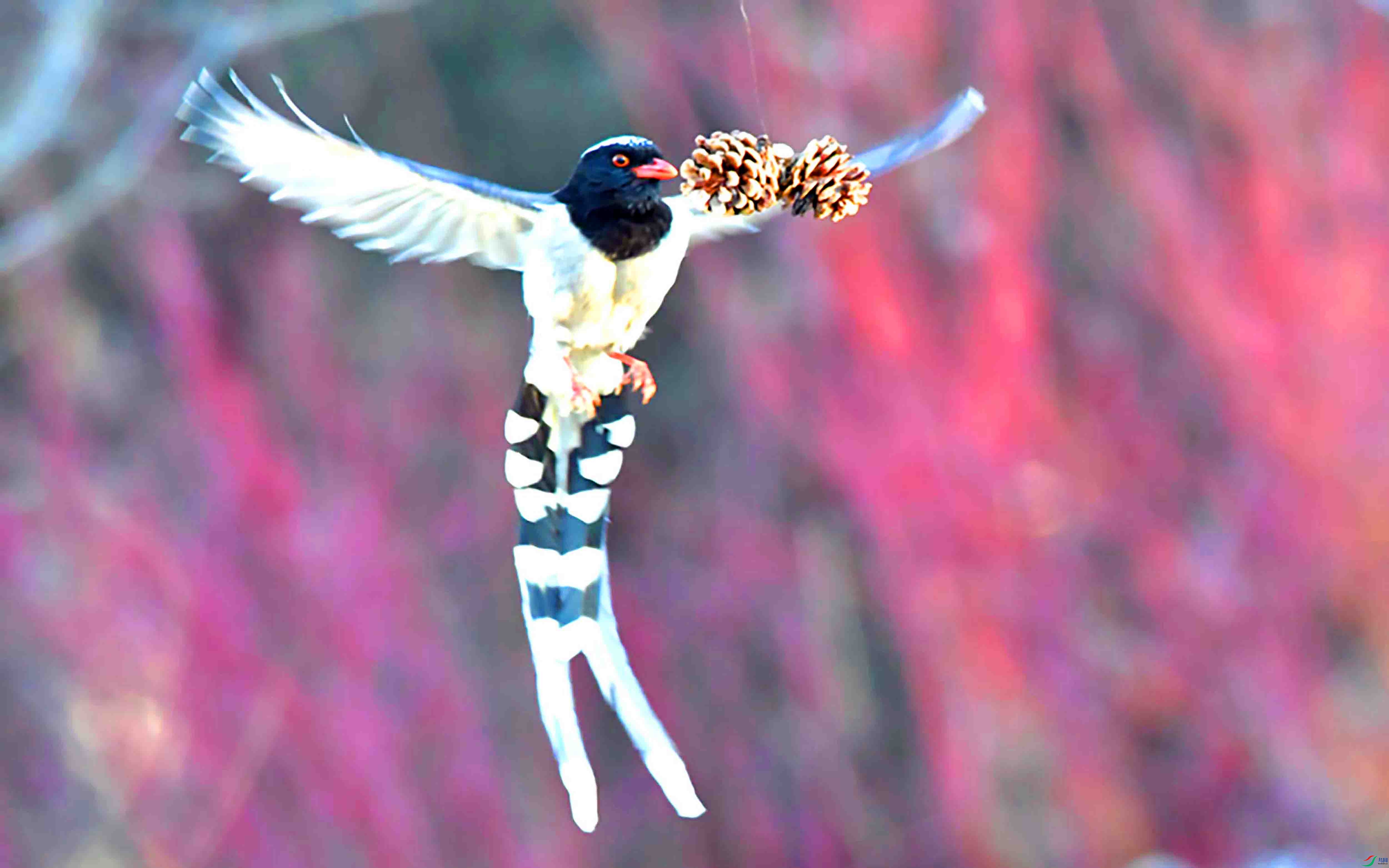 Copy2_DSC_7501.JPG