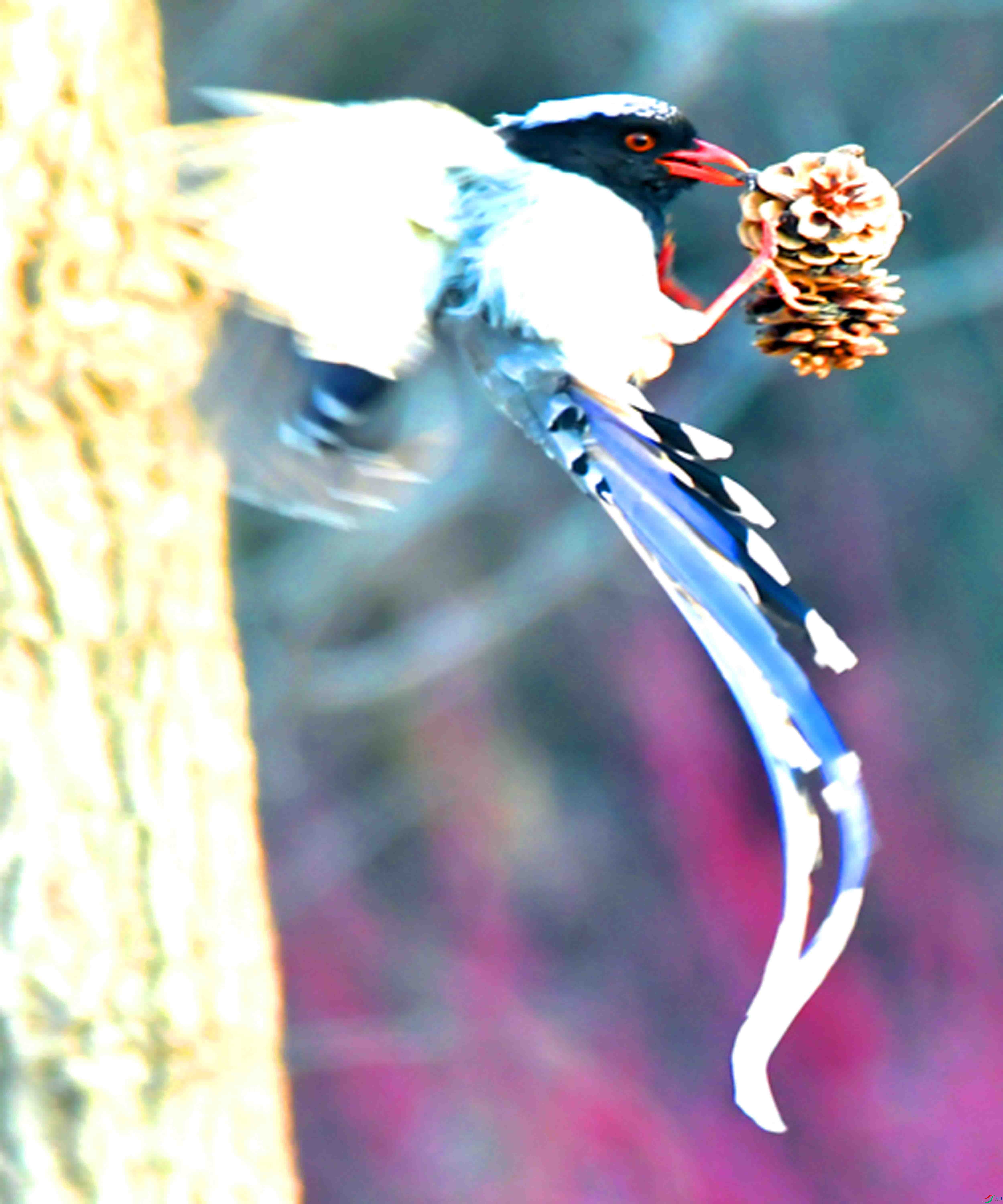 Copy2_DSC_7512.JPG