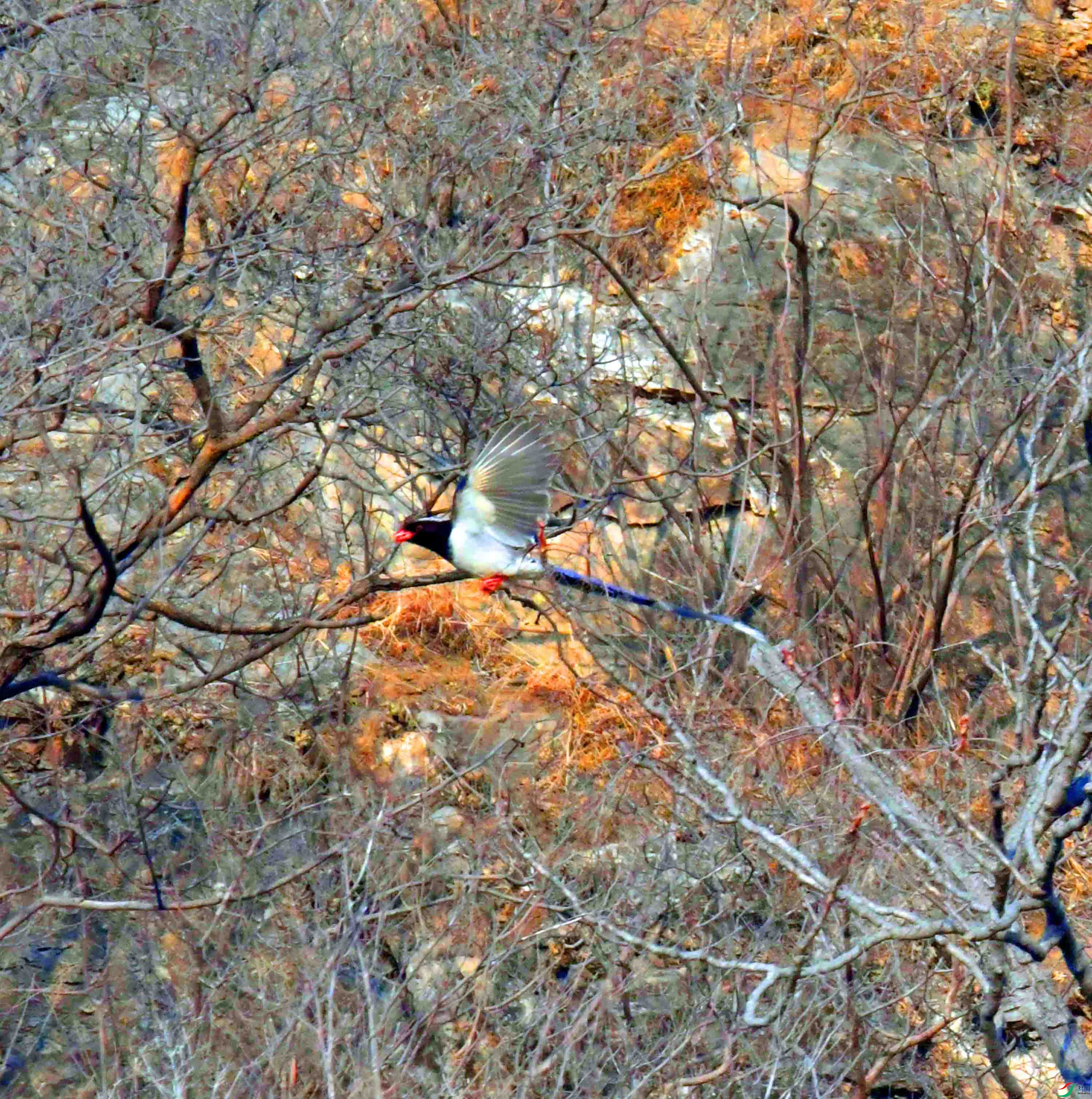 DSC_8244.JPG