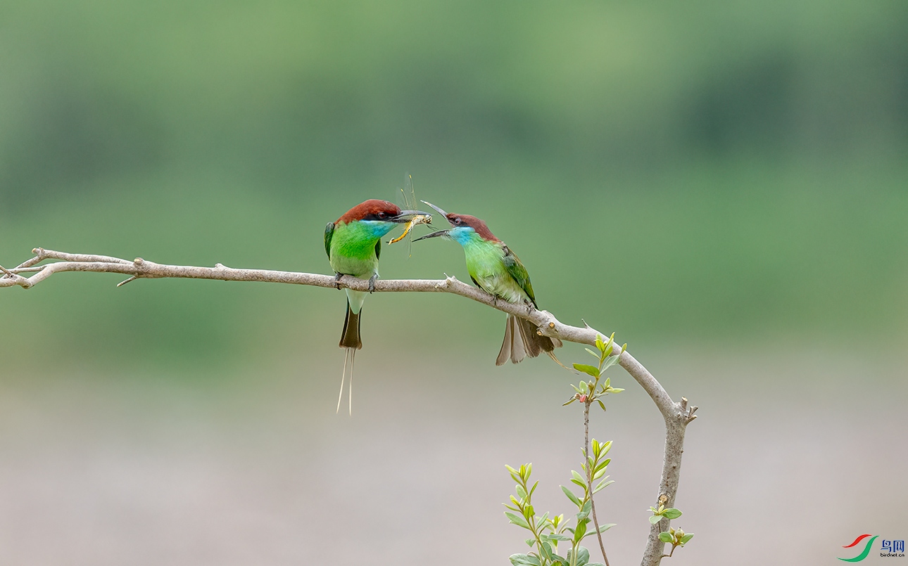 _C2A9354 ����.jpg