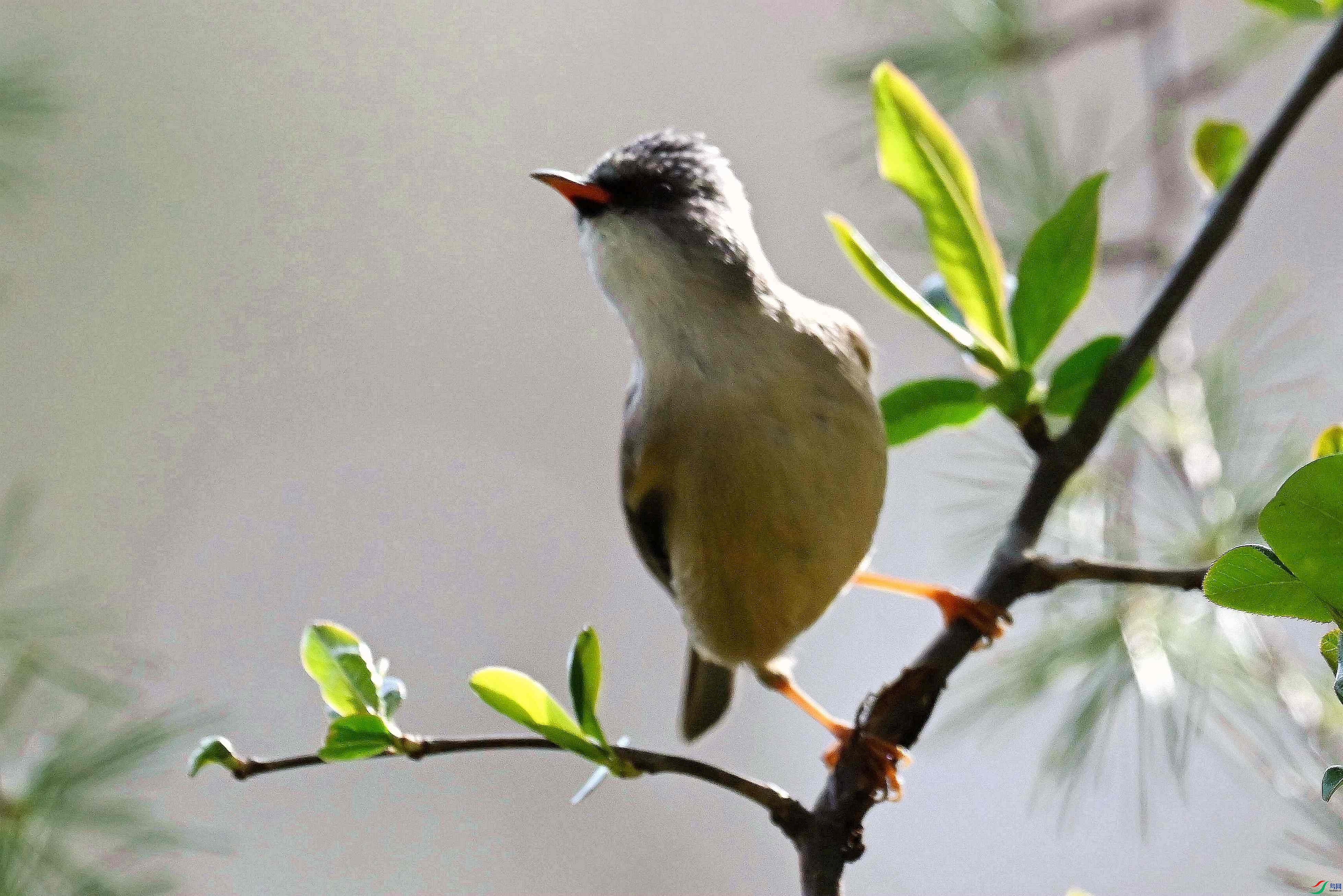 DSC_4441_����.jpg