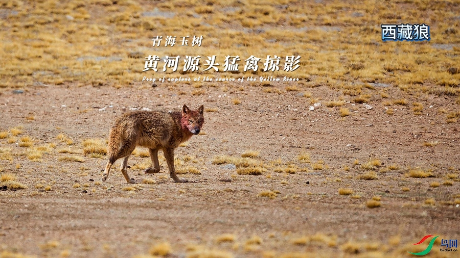 �ຣ����-�ƺ�Դͷ������Ӱ-����.jpg