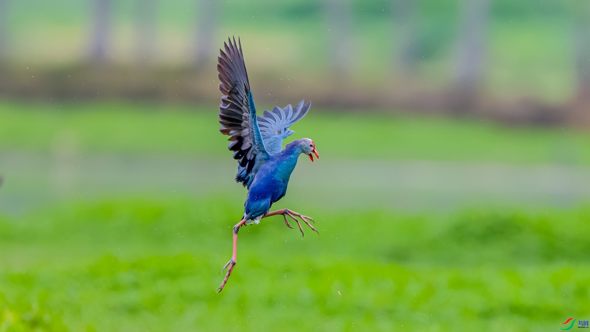 ÿ�ռ���  ����  ���� ɳ���Խ� ����.jpg