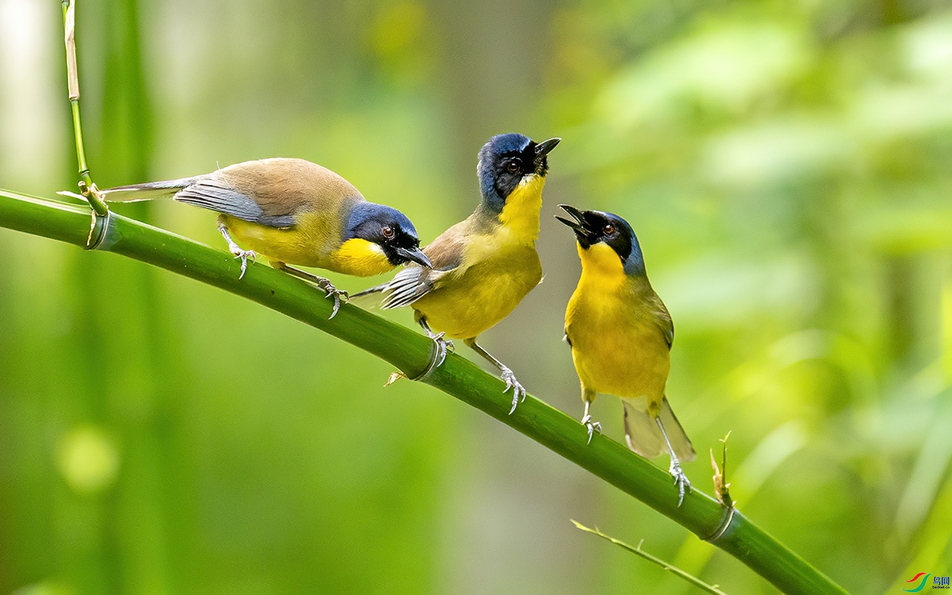 �������  ���� л���� ��һ.jpg