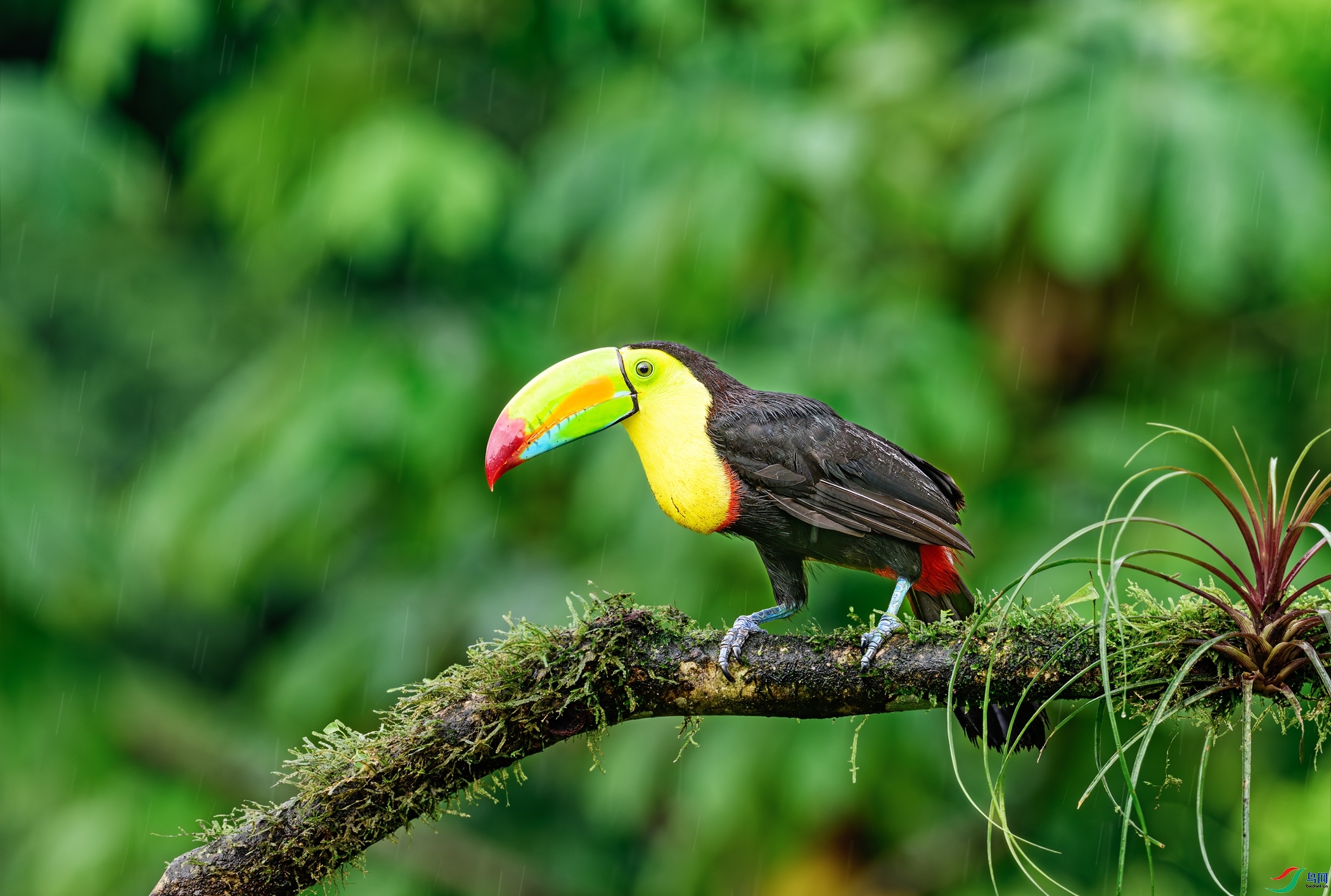 ���е�����  ���� �������� ��һ.jpg