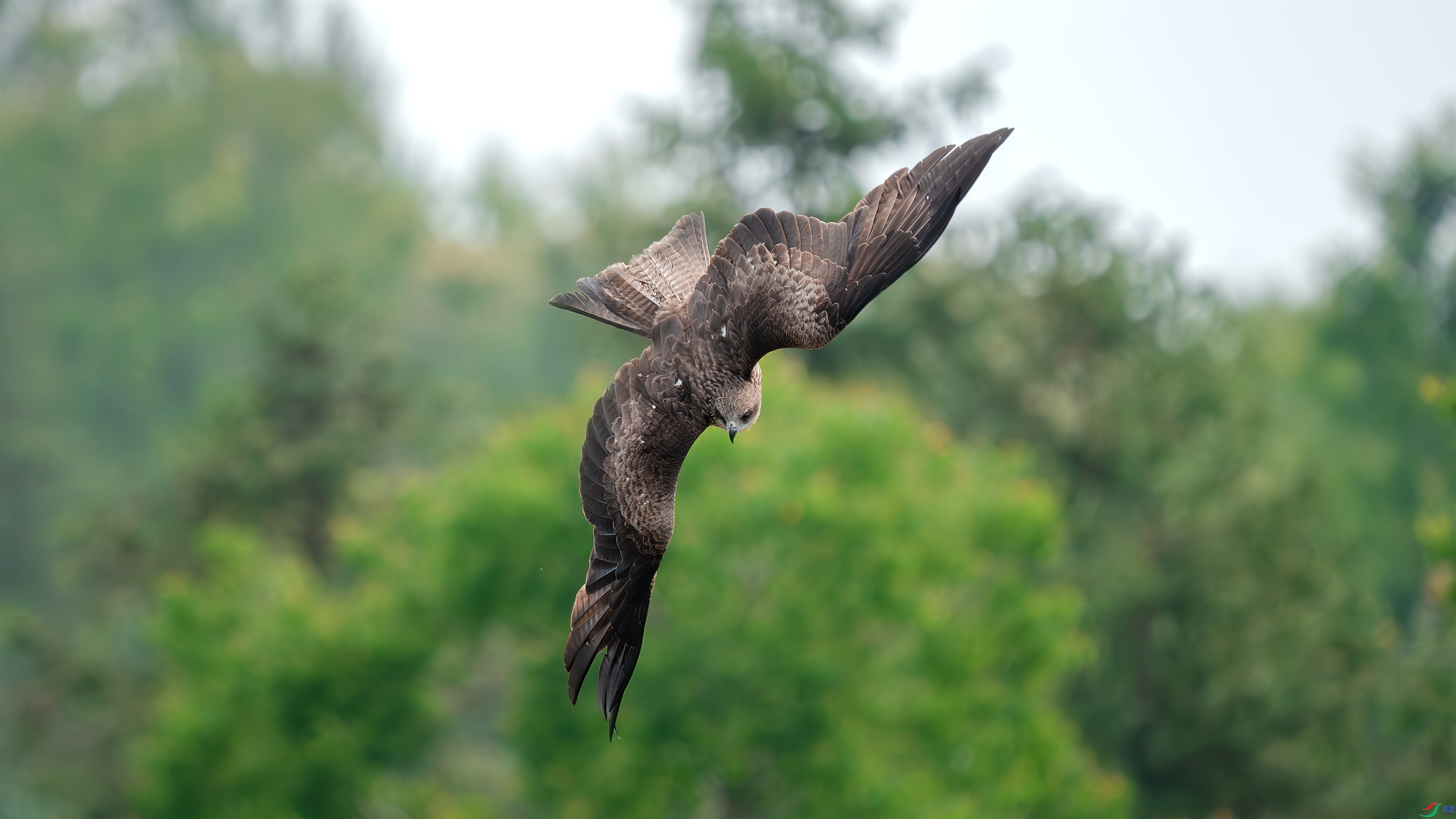 ��ʱ��������  ���� С�׺� ��һ.jpg