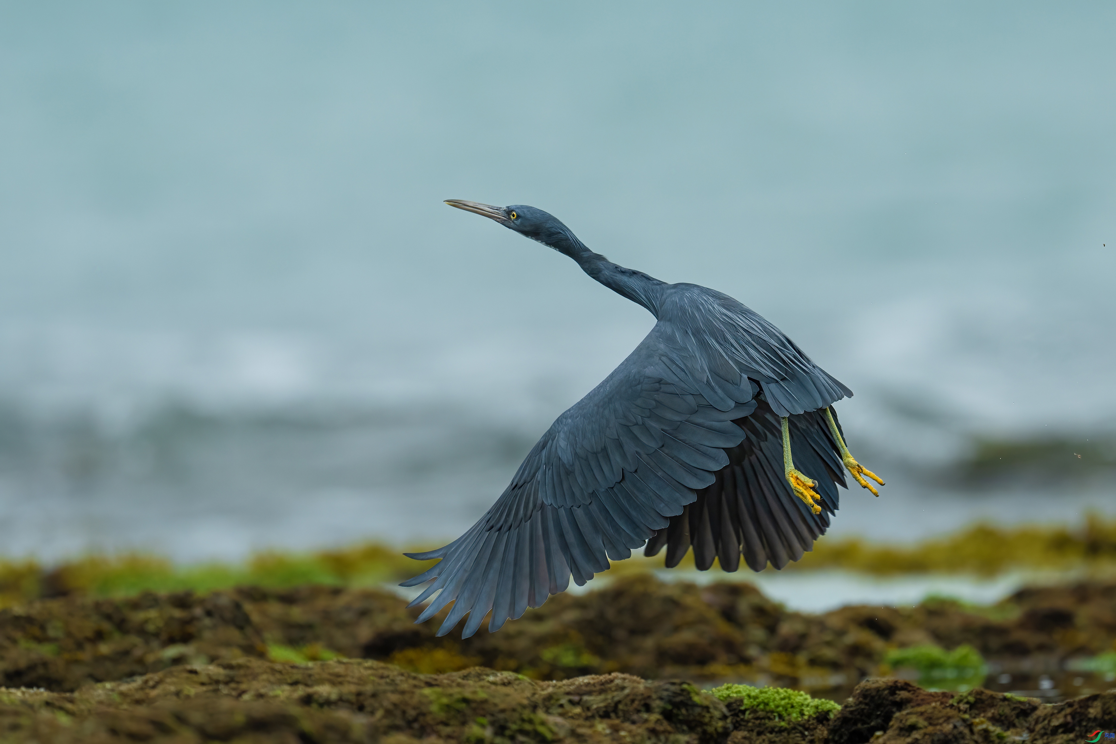 ���ذδ�  ����  ����· ��һ.jpg