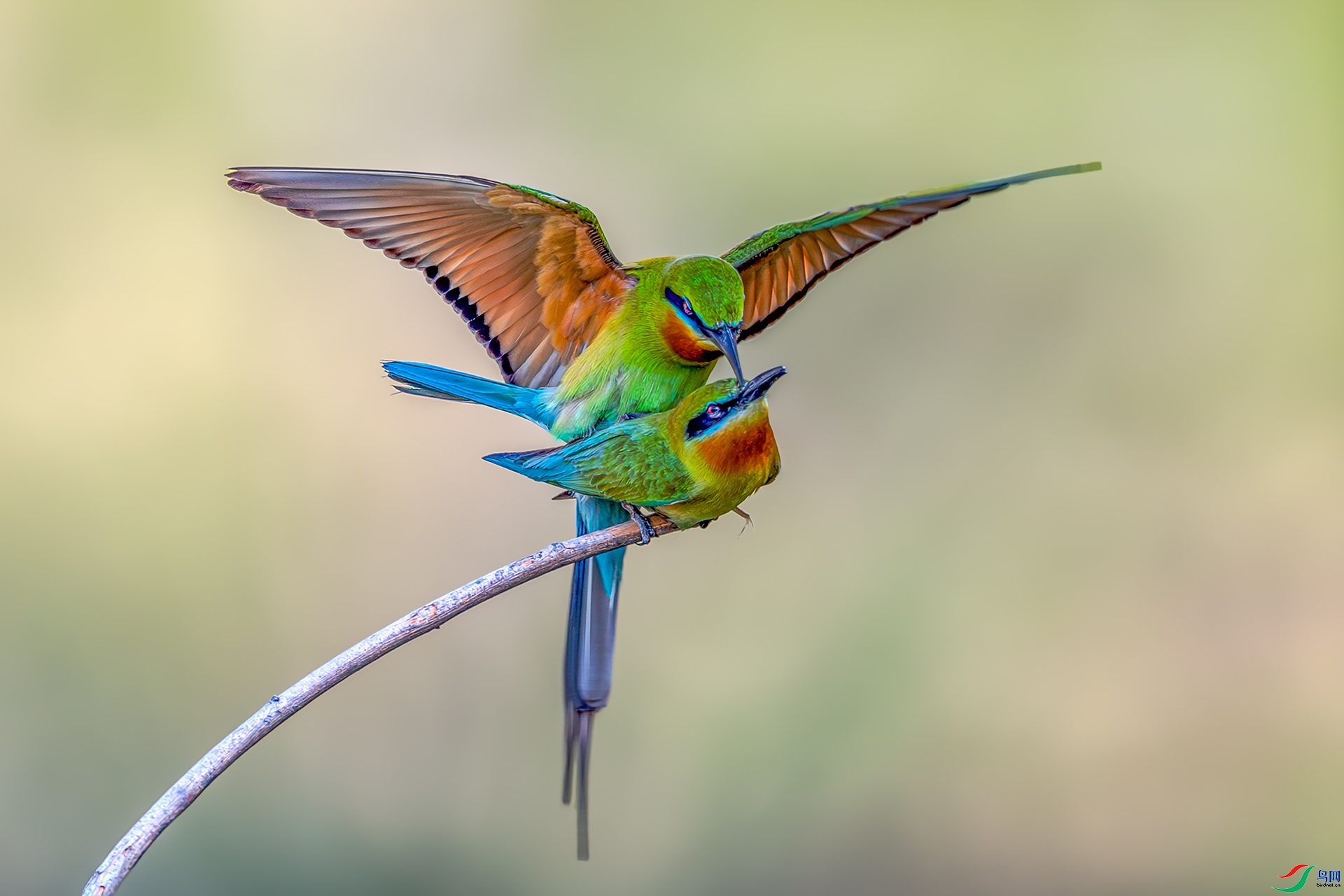 ����  ���� ����ǿ �ܶ�.jpg