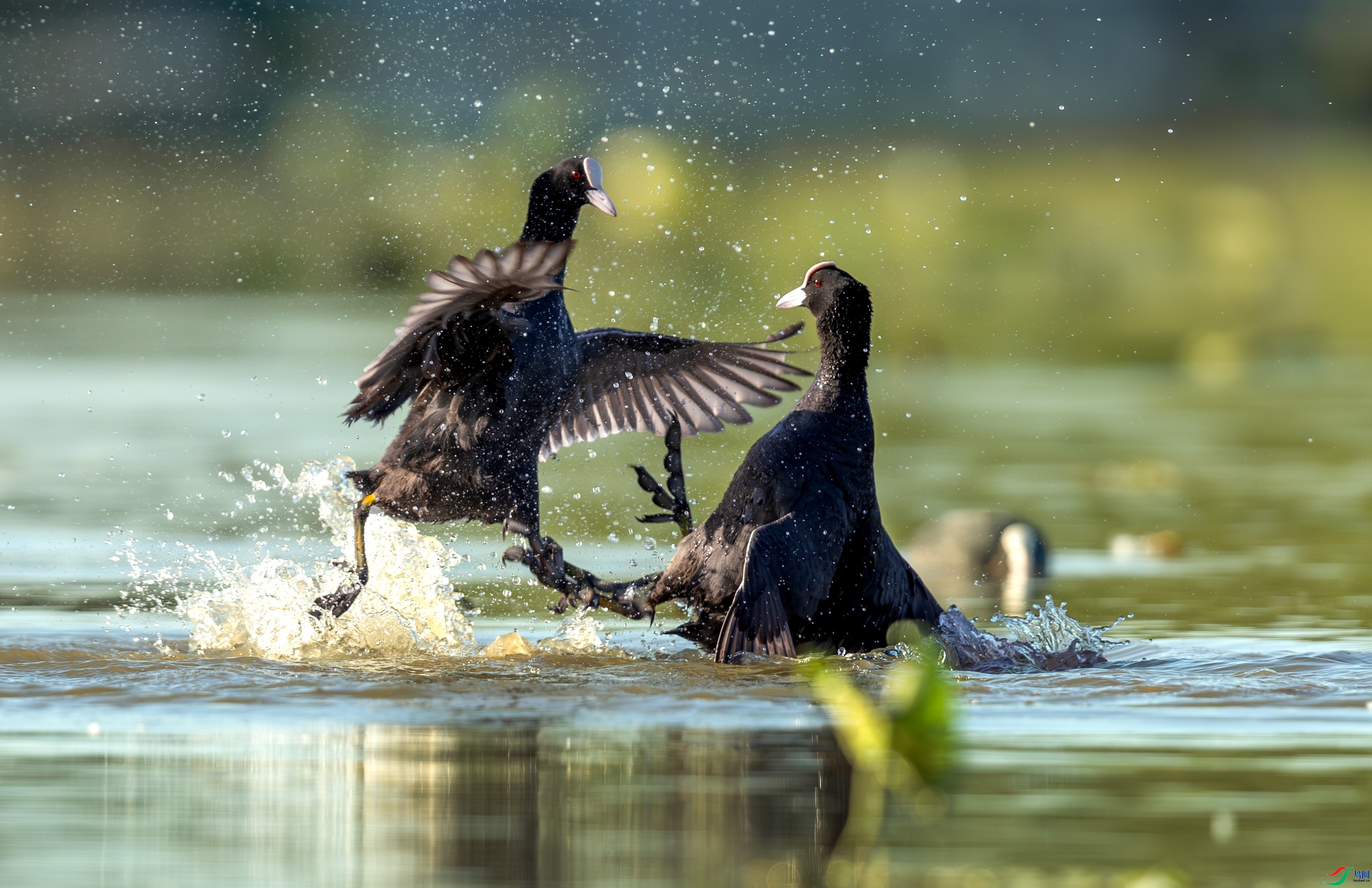 ��ˮ�����  ���� һ·���� �ܶ�.jpg