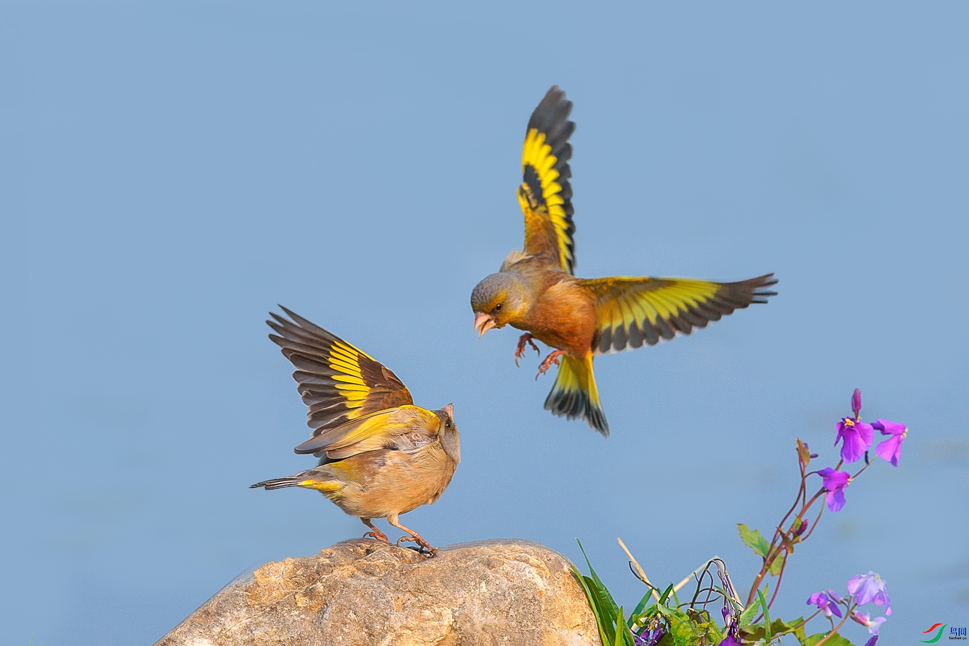 �峿�Ի� ���� ���¹�Ӱ �ܶ�.jpg