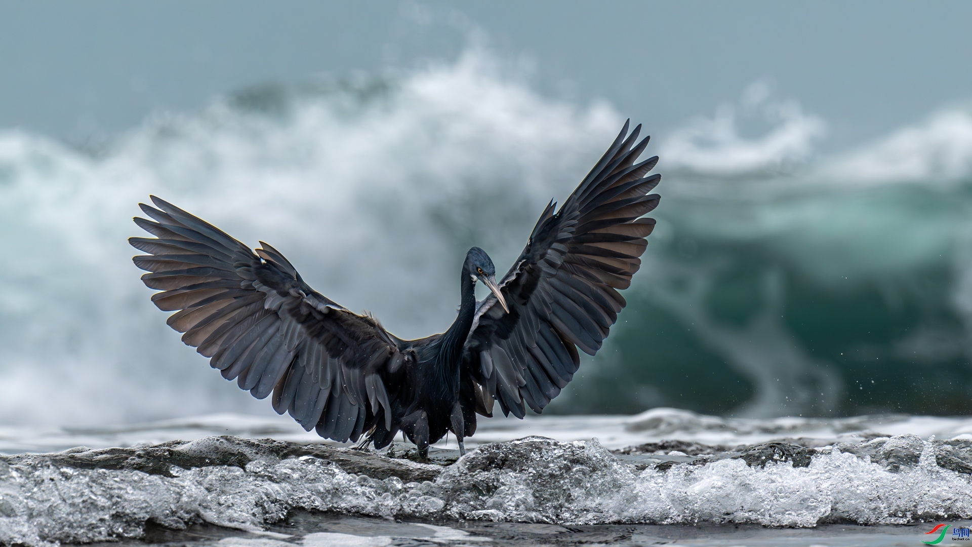 ������Ϯ  ���� ����ľ �ܶ�.jpg