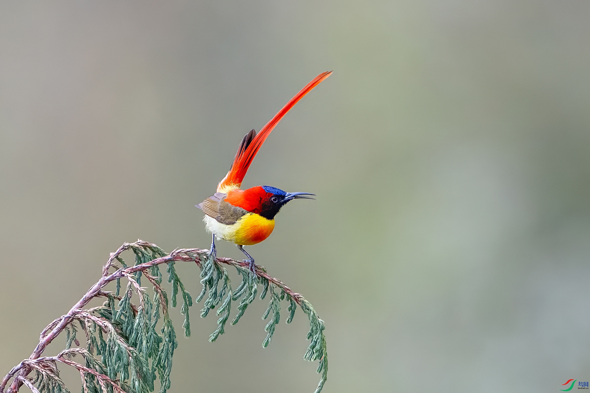 DSC_7121.jpg
